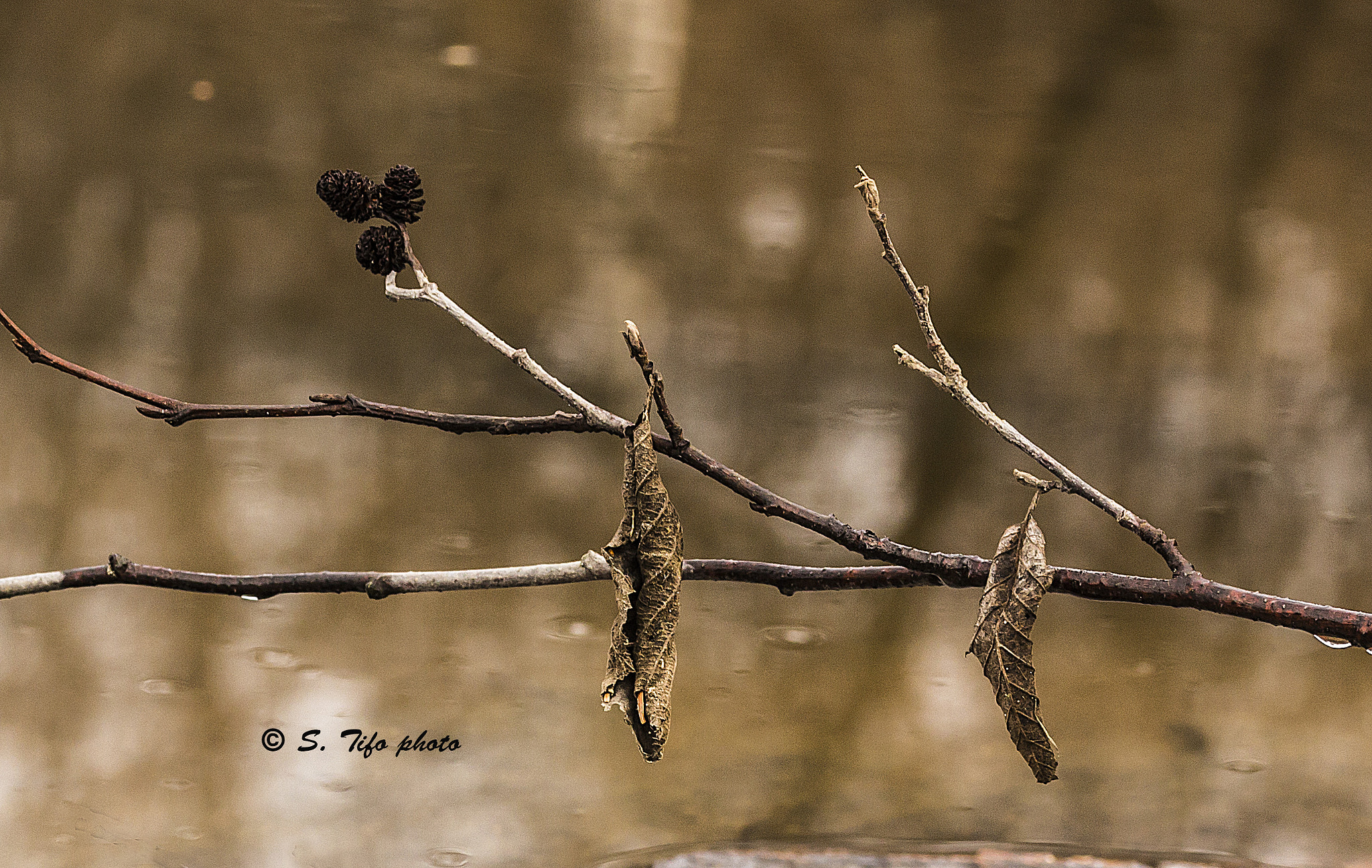 Sigma 105mm F2.8 EX DG OS HSM sample photo. Drying time ... photography