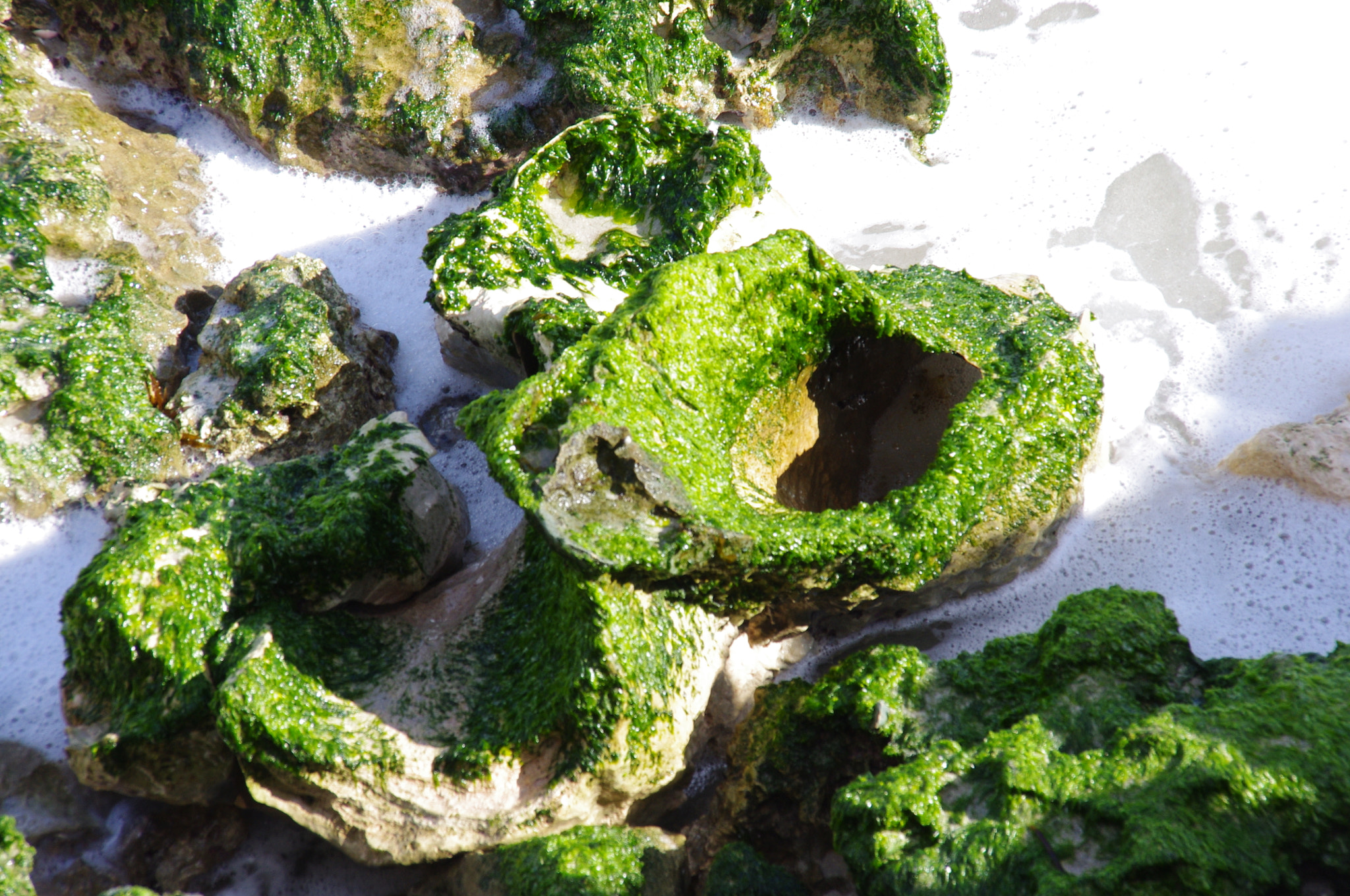 Sigma 18-200mm F3.5-6.3 DC sample photo. Reef photography