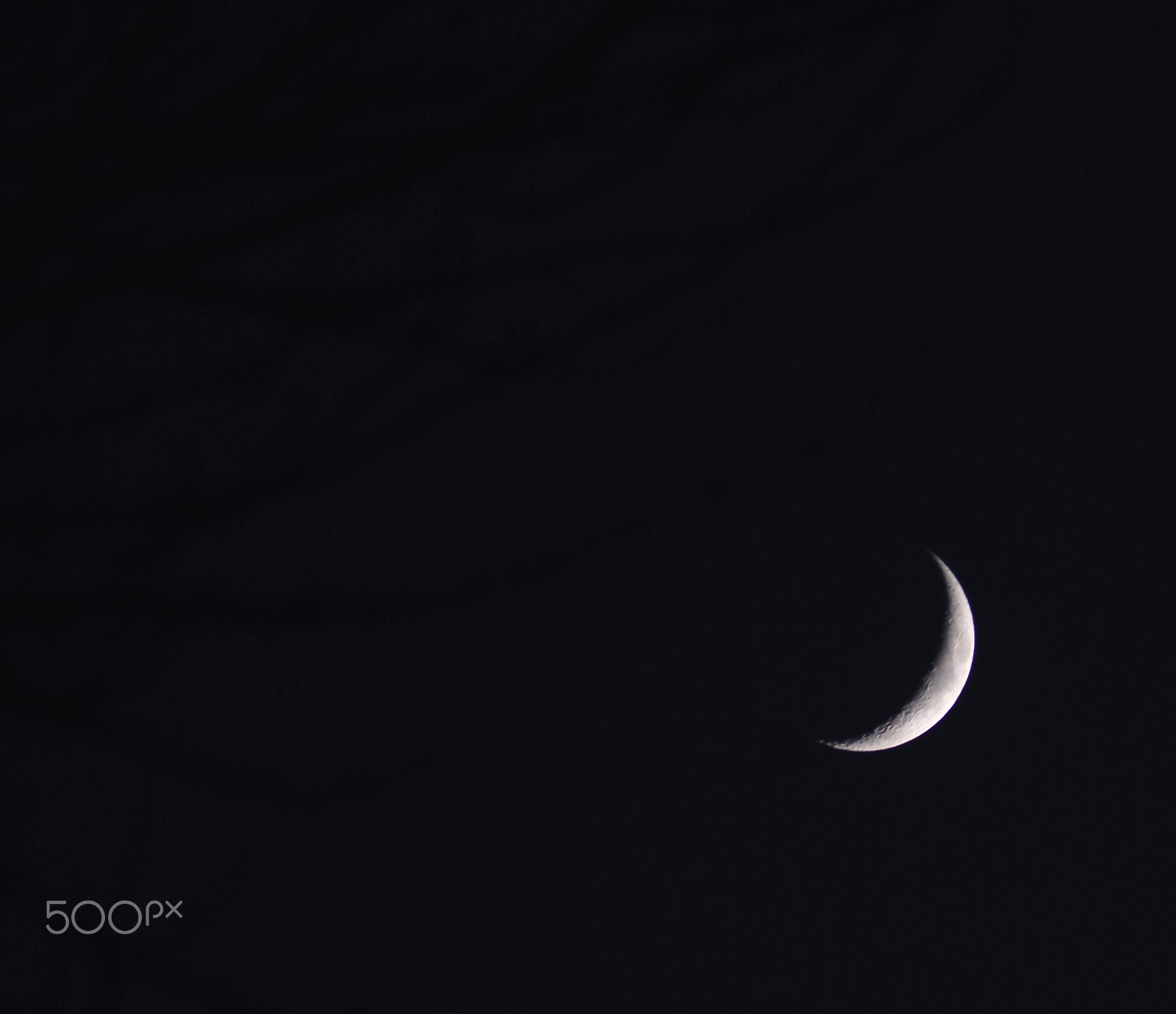 Nikon AF Nikkor 70-300mm F4-5.6G sample photo. Moon & trees photography