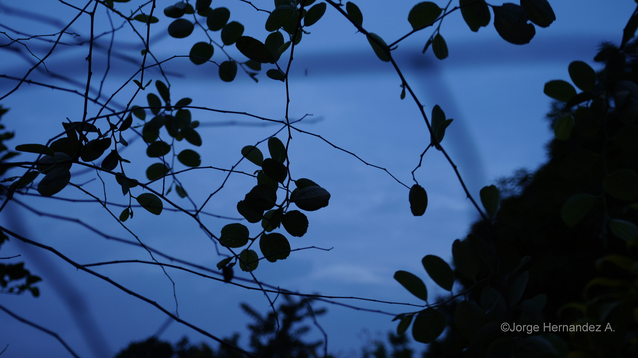 Sony E 18-50mm F4-5.6 sample photo