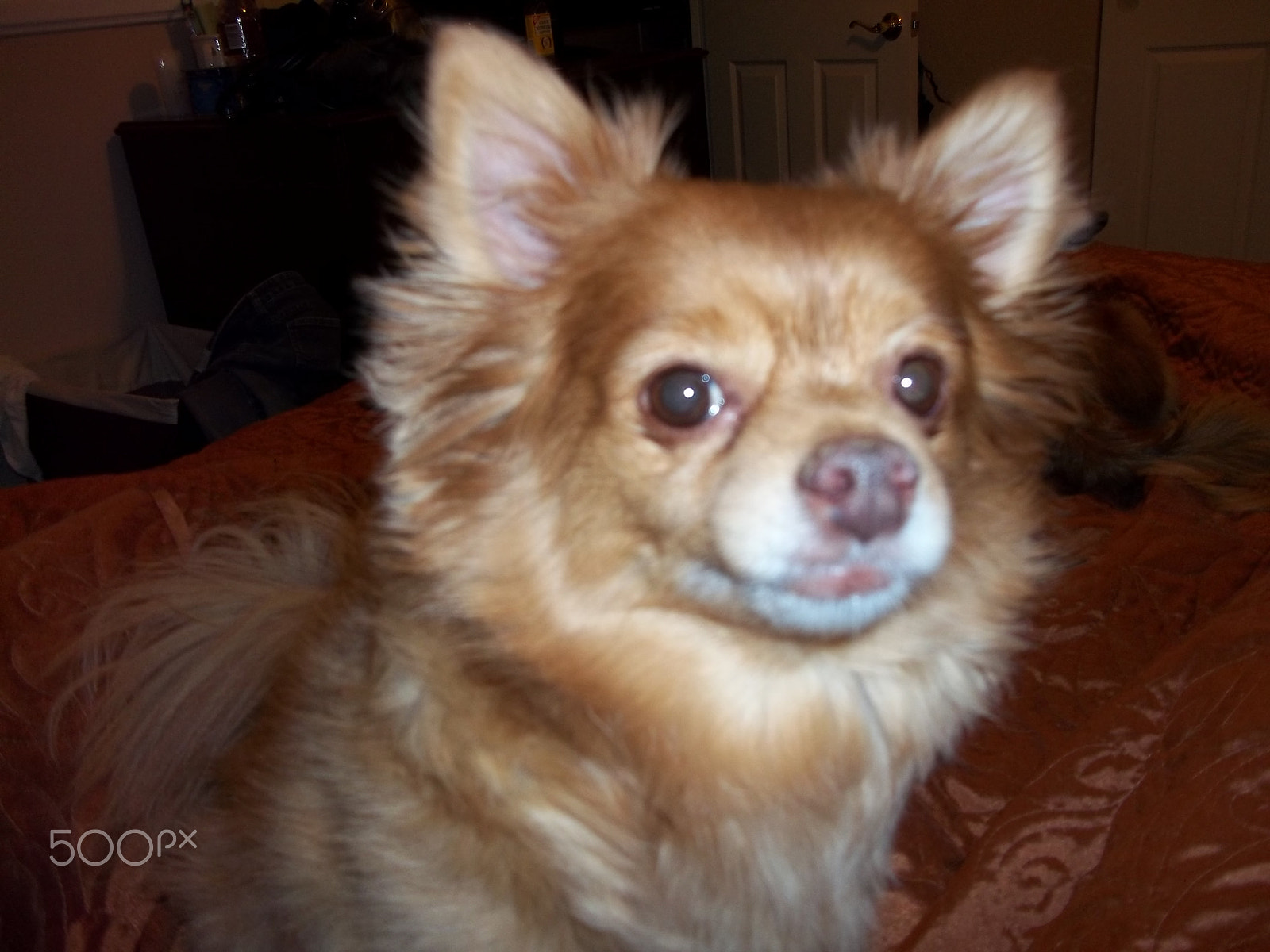 Kodak EASYSHARE C143 DIGITAL CAMERA sample photo. He's up to something...... photography