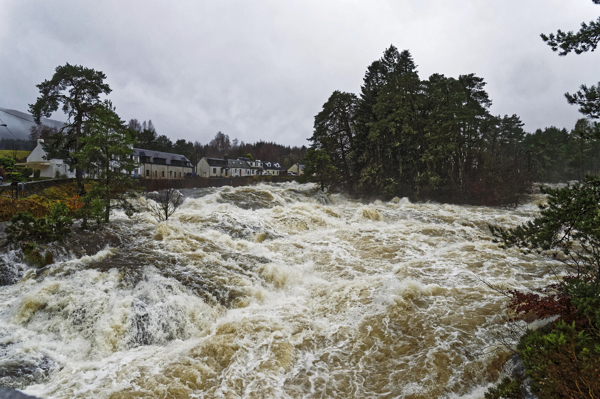 Nikon D4S sample photo. Falls of dochart photography