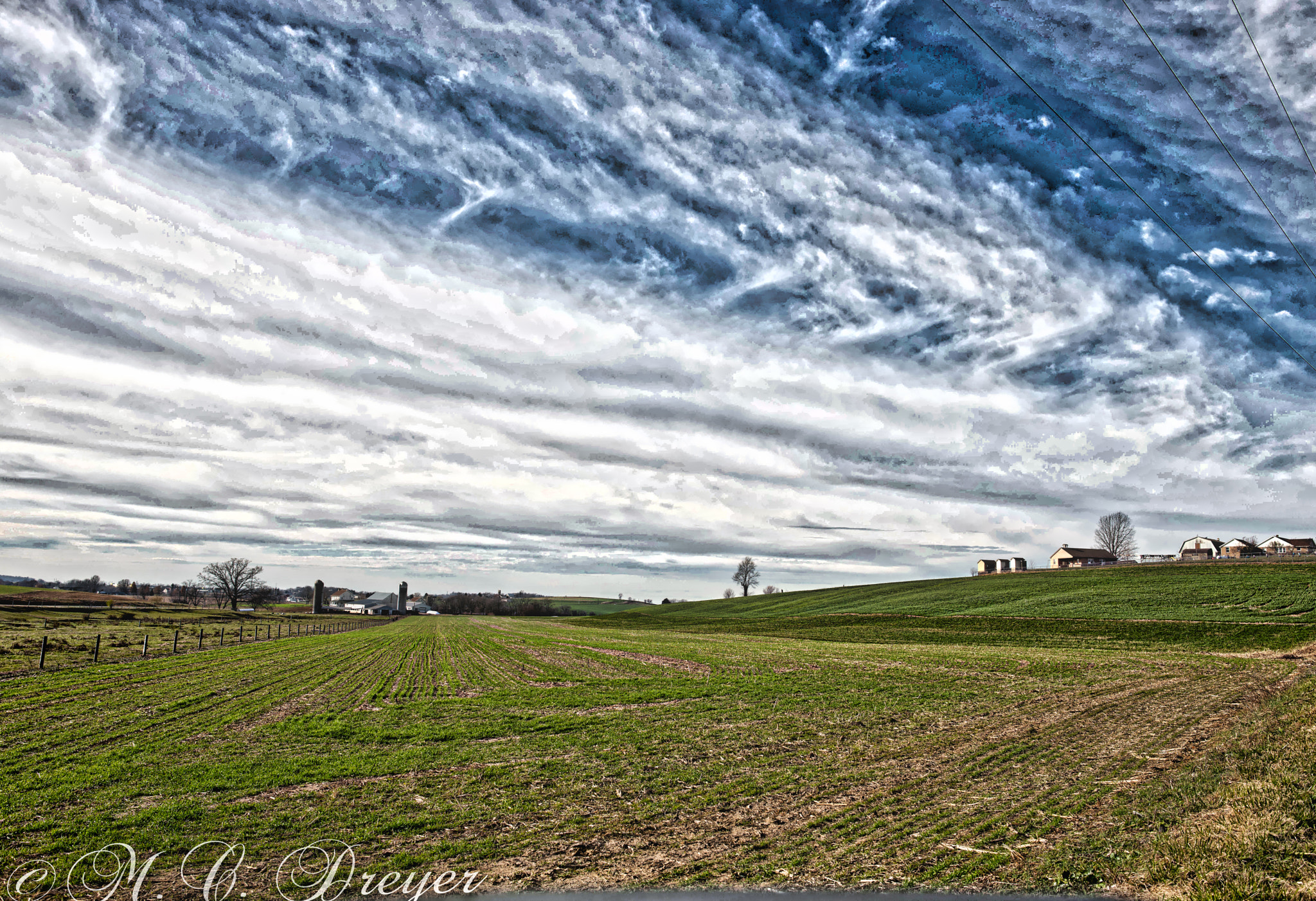 ZEISS Distagon T* 25mm F2 sample photo. Open skies photography