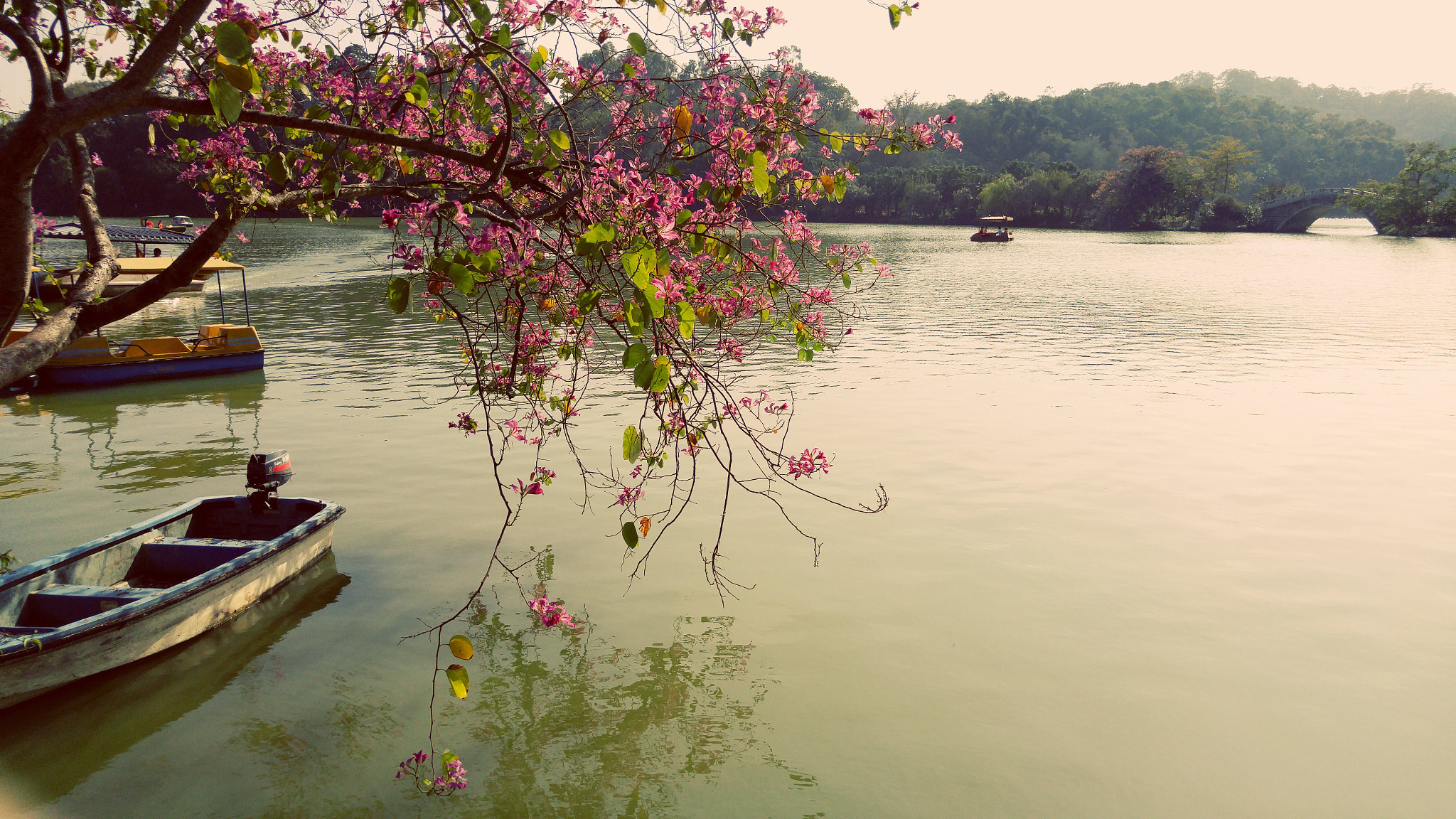 LG H818N sample photo. A peaceful lake  photography