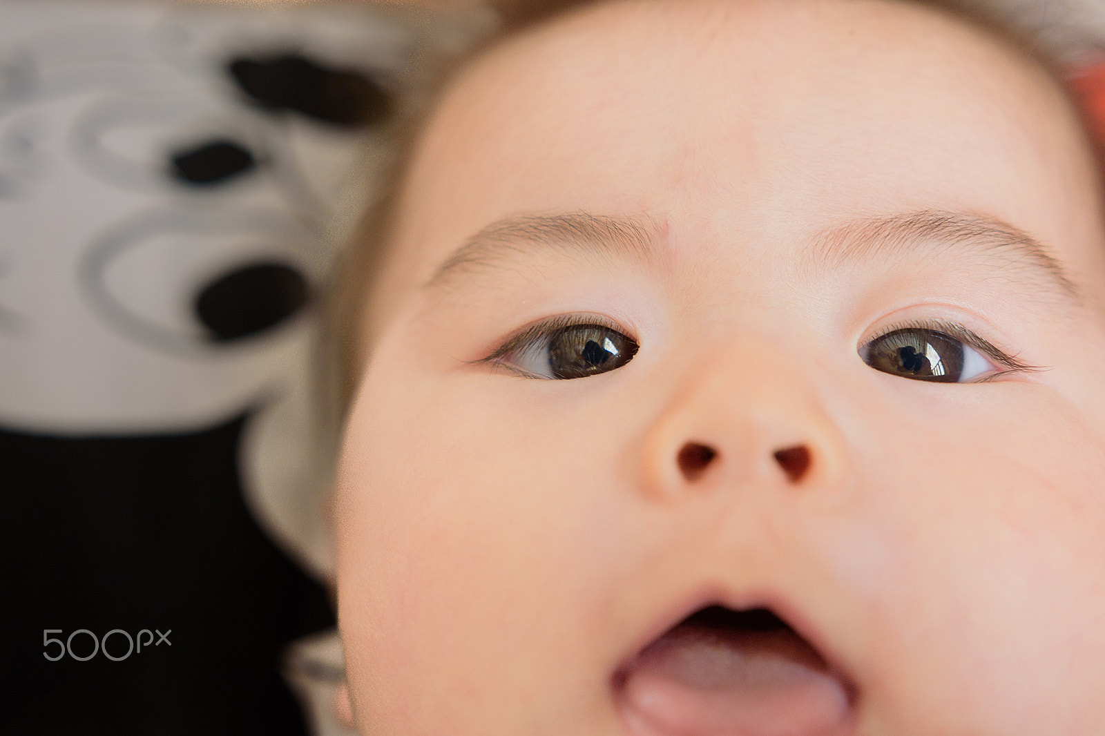 Nikon D750 + Sigma 18-35mm F1.8 DC HSM Art sample photo. Pure eyes photography
