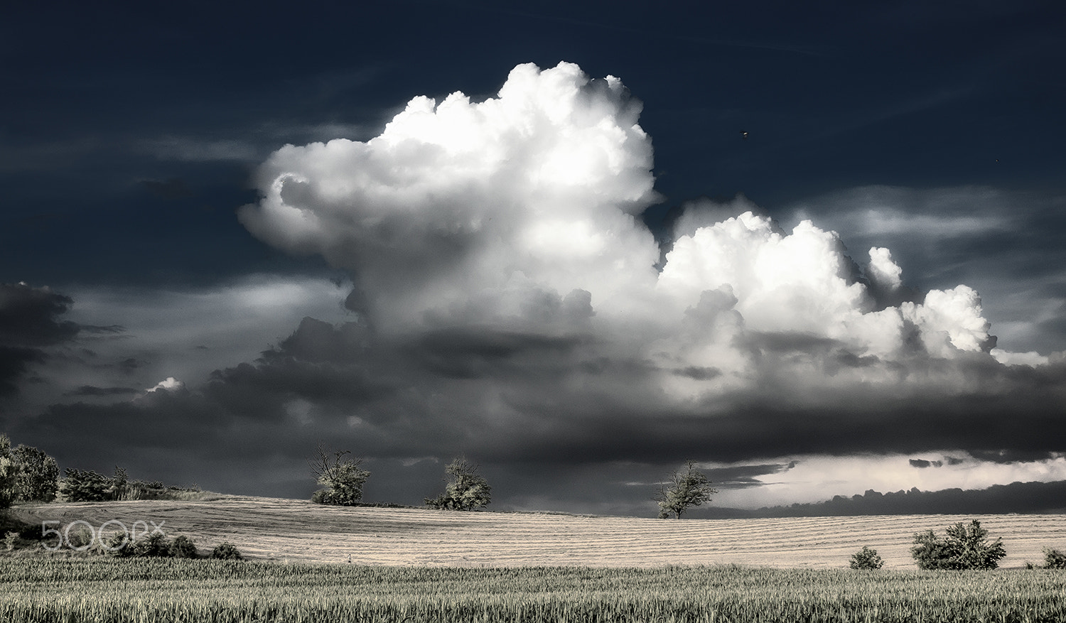 Sony Alpha DSLR-A580 + Tamron SP 24-70mm F2.8 Di VC USD sample photo. Clouds in the summer photography