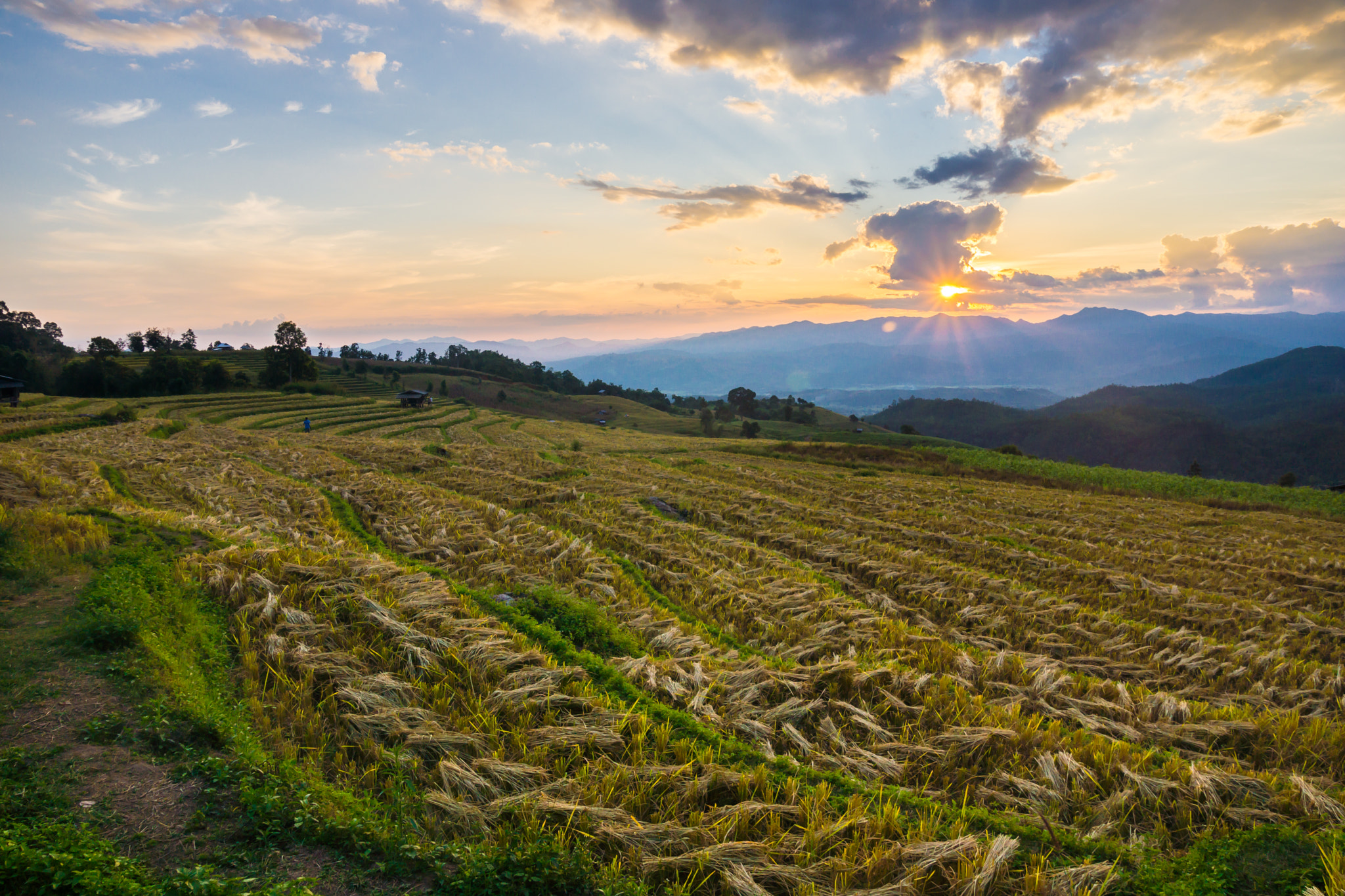 Sony DT 16-105mm F3.5-5.6 sample photo. Rice terrace ,chiang mai ,thailand photography