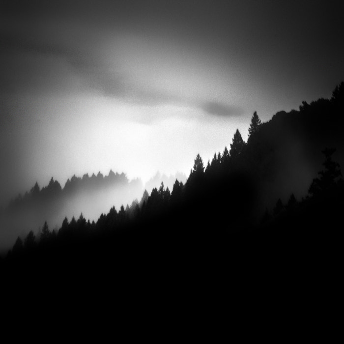Sony Alpha DSLR-A700 sample photo. Fog on mount tam photography