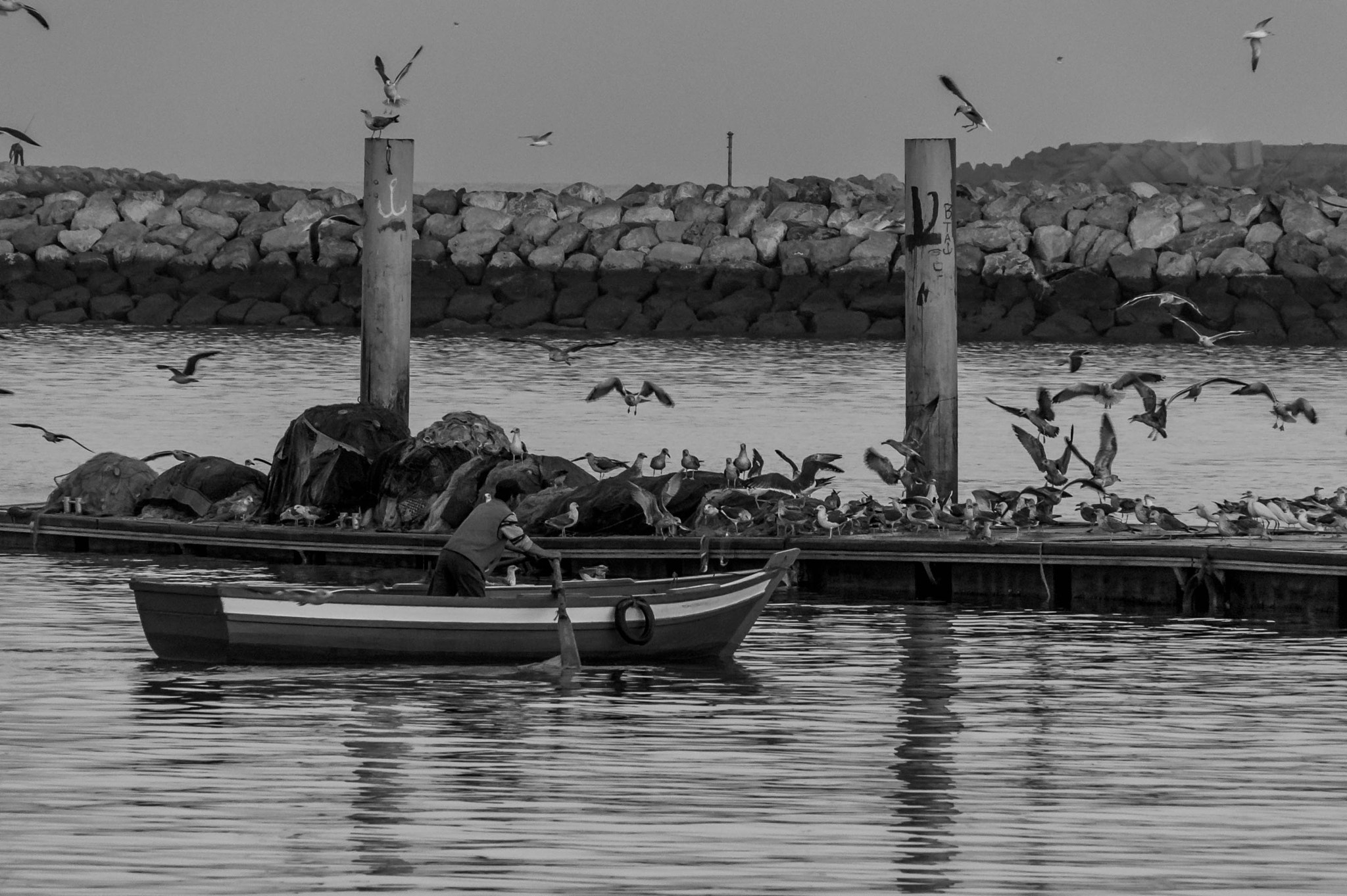 Nikon D4S sample photo. Peche en barque photography