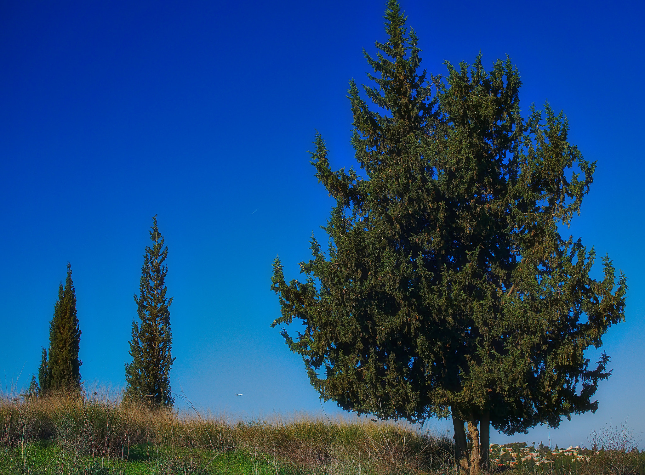 Sony Alpha NEX-5N + Sigma 30mm F2.8 EX DN sample photo. Where's plano? photography
