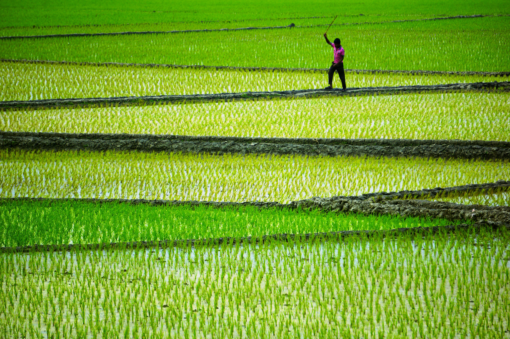 Sony E 55-210mm F4.5-6.3 OSS sample photo. Crossing a green sea photography