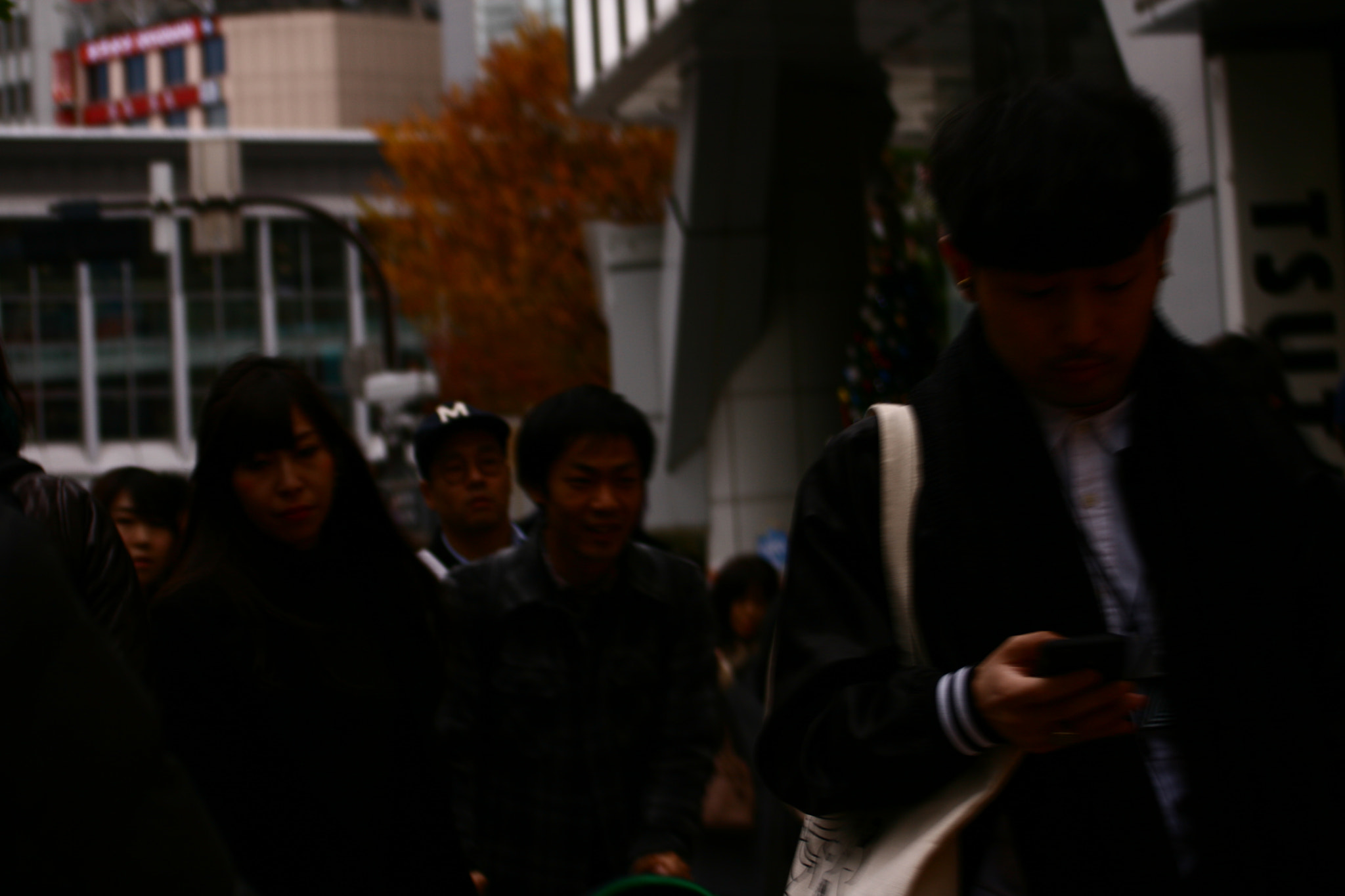 Canon EF 55-200mm F4.5-5.6 II USM sample photo. Passing photography