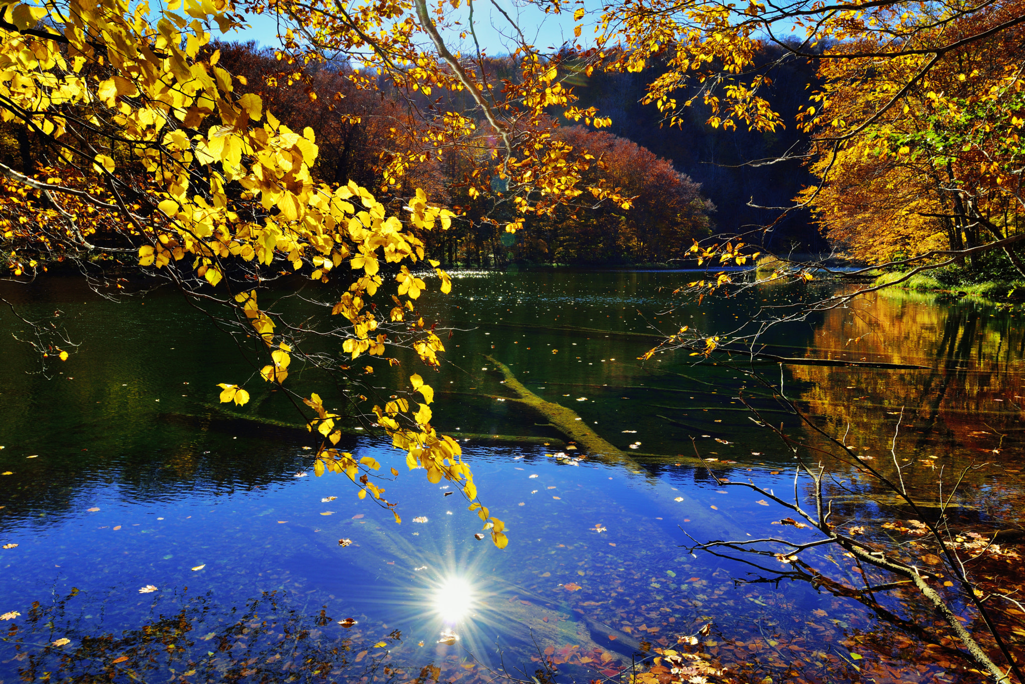 Nikon D800E + Nikon PC-E Nikkor 24mm F3.5D ED Tilt-Shift sample photo. _dsc5328-2015-10-23-1.jpg photography