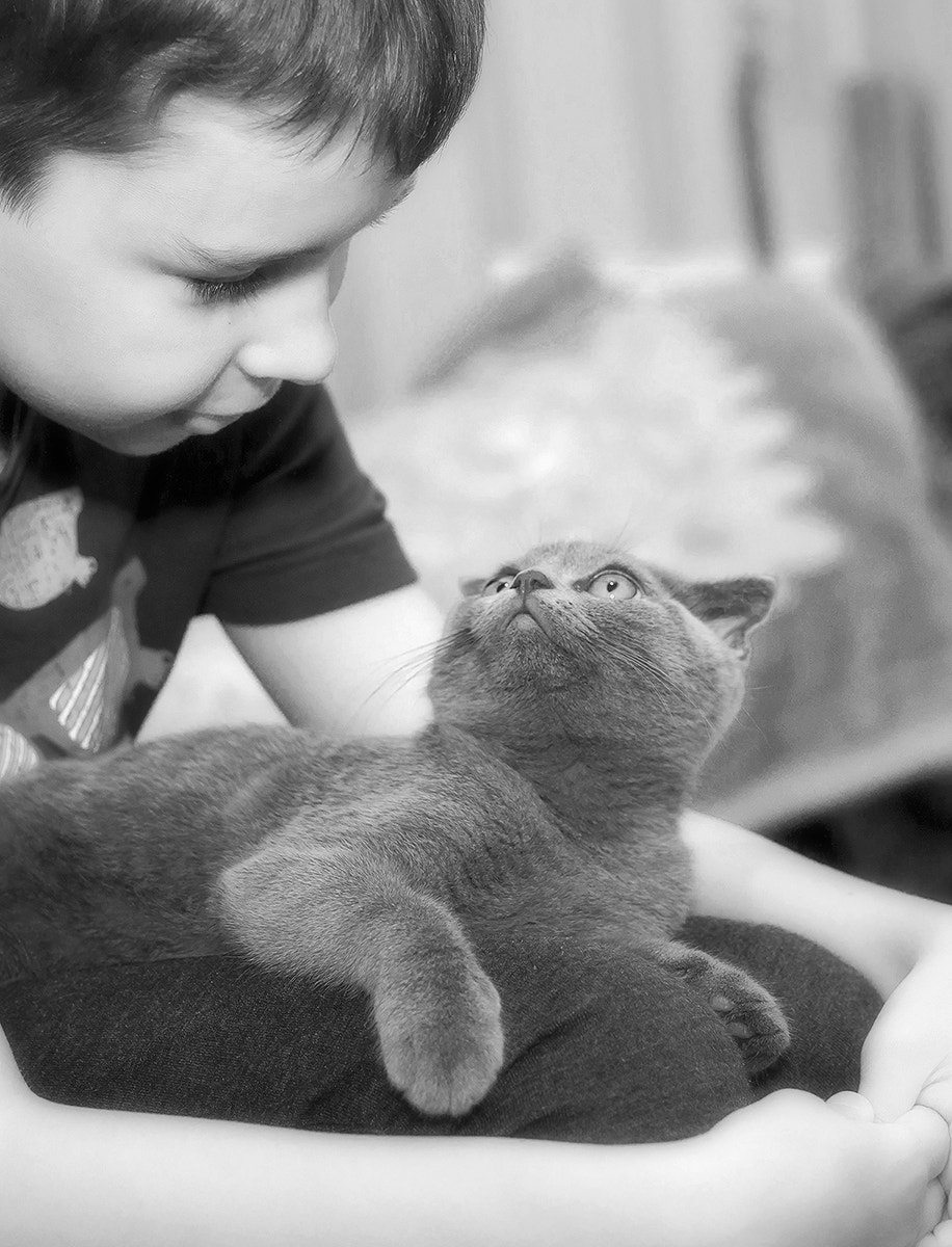 Minolta AF 50mm F1.4 [New] sample photo. You and me. photography