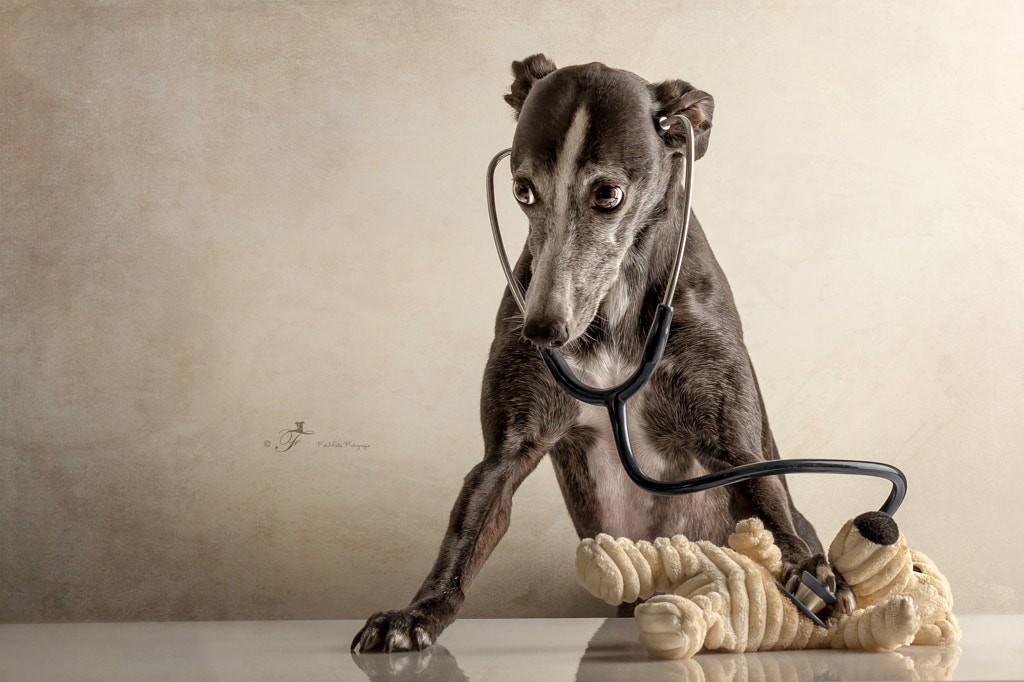 Checking if my teddy is allright!! by Nuelle Flipse on 500px.com