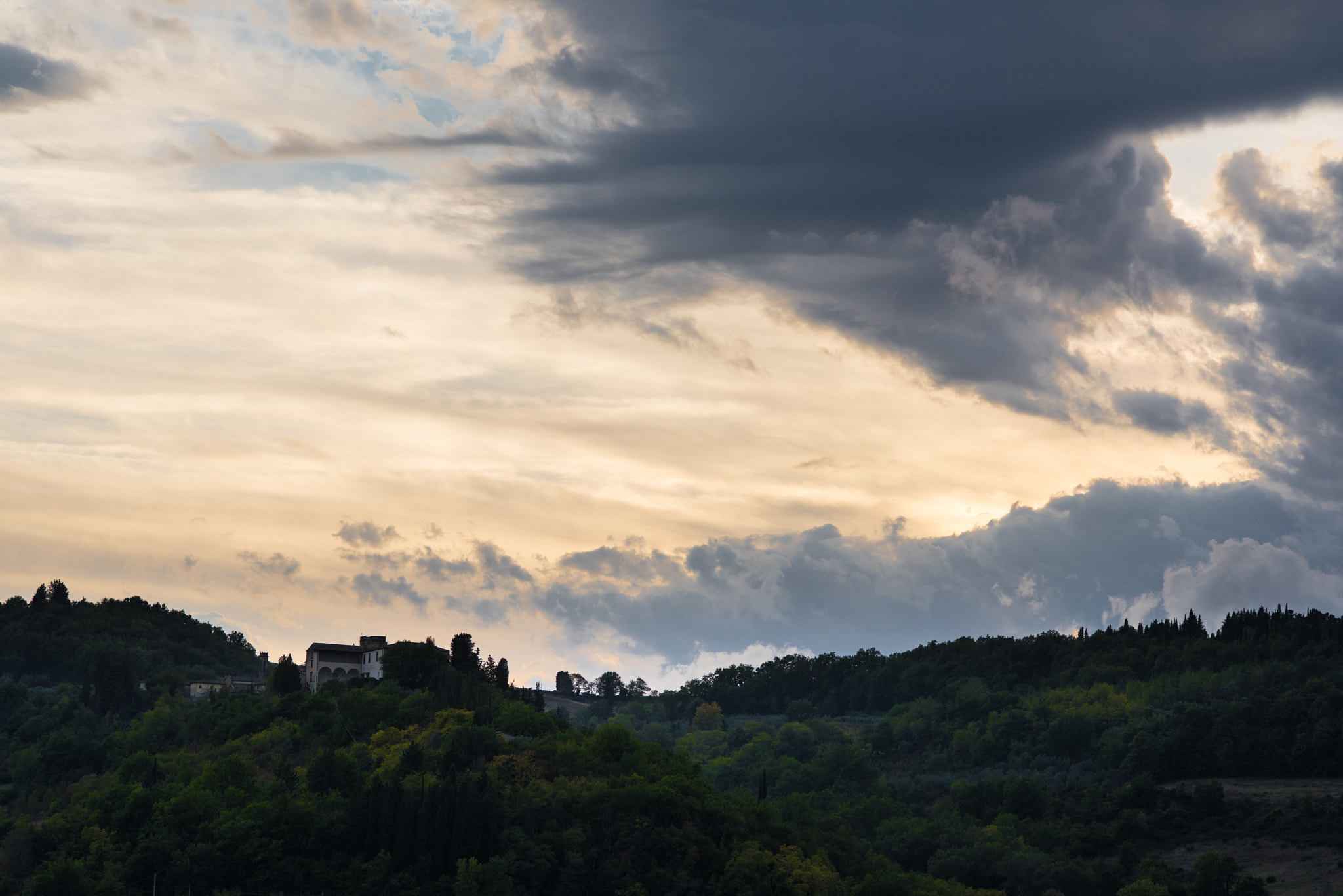 Nikon D810 + ZEISS Makro-Planar T* 100mm F2 sample photo. From cantina antinori photography