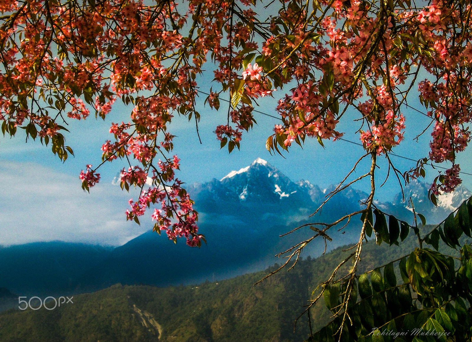 Kodak EASYSHARE C140 DIGITAL CAMERA sample photo. Nature @ its best ft. kanchenjunga photography