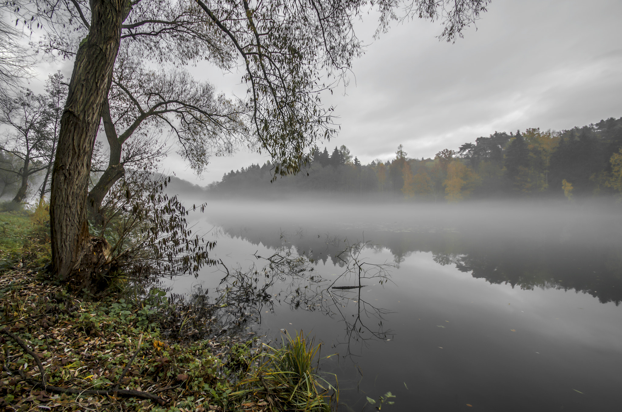 Pentax K-30 sample photo. Foggy morning photography