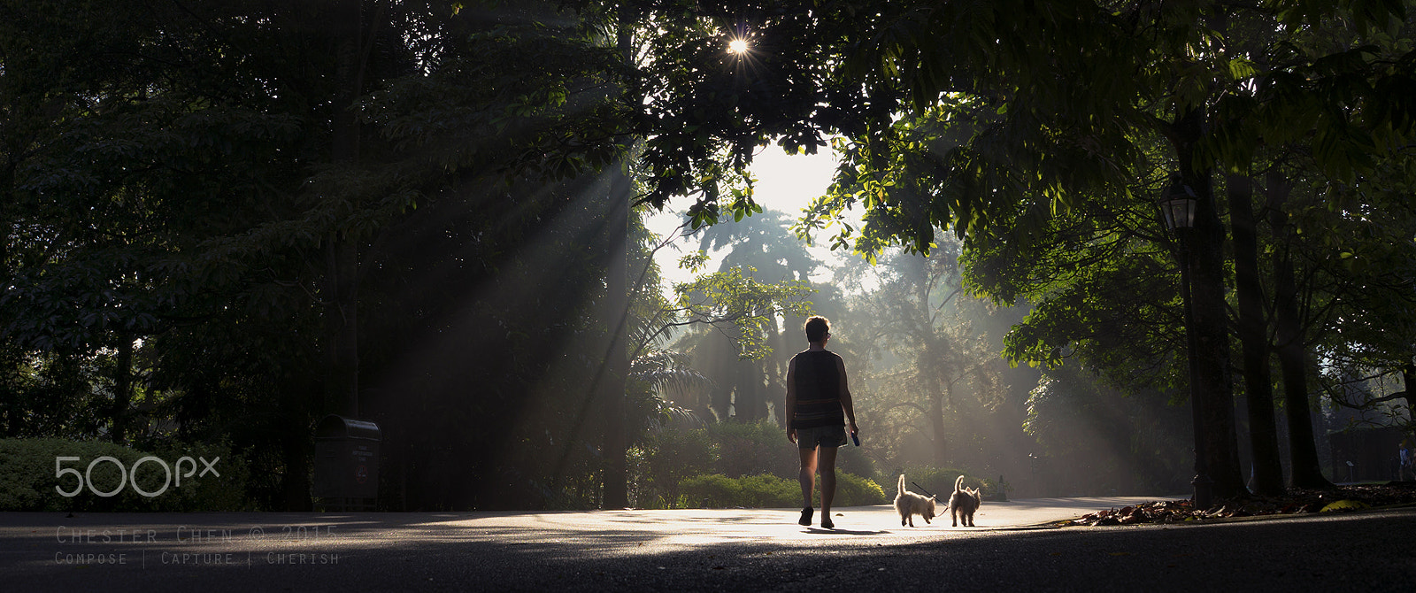 Sony a7S II + Sony FE 28mm F2 sample photo. A walk in the park photography