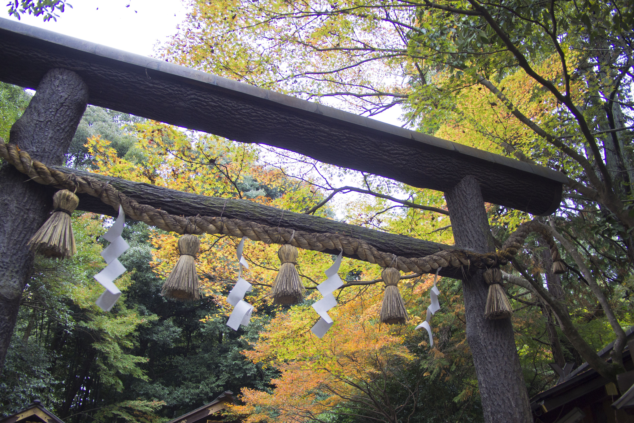 Olympus PEN E-PM2 sample photo. 2015 nov - kyoto, japan photography