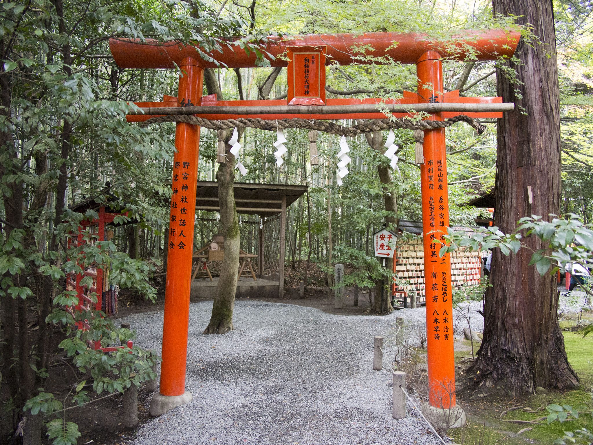 Olympus PEN E-PM2 sample photo. 2015 nov - kyoto, japan photography