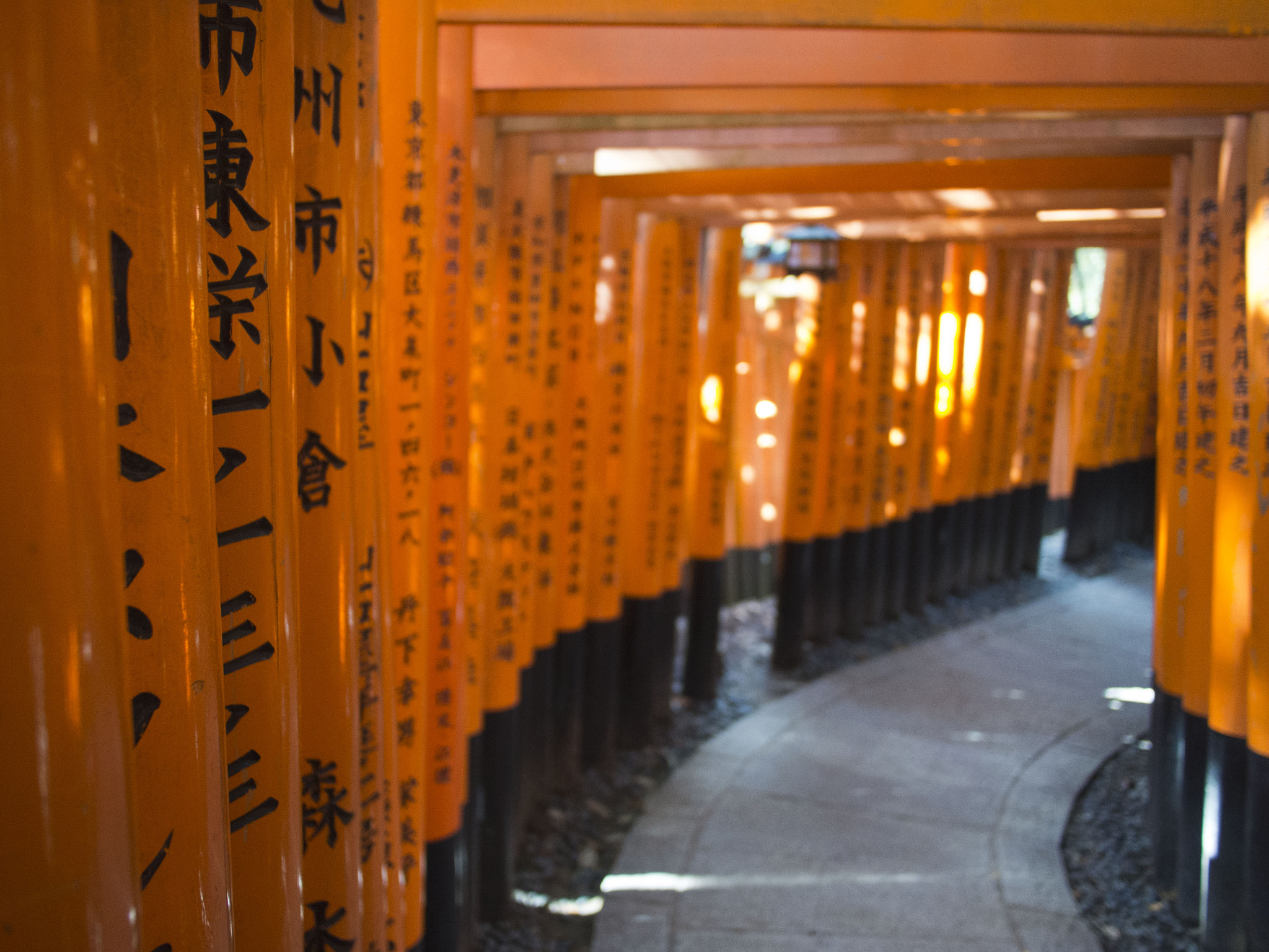 Olympus PEN E-PM2 sample photo. 2015 nov - kyoto, japan photography
