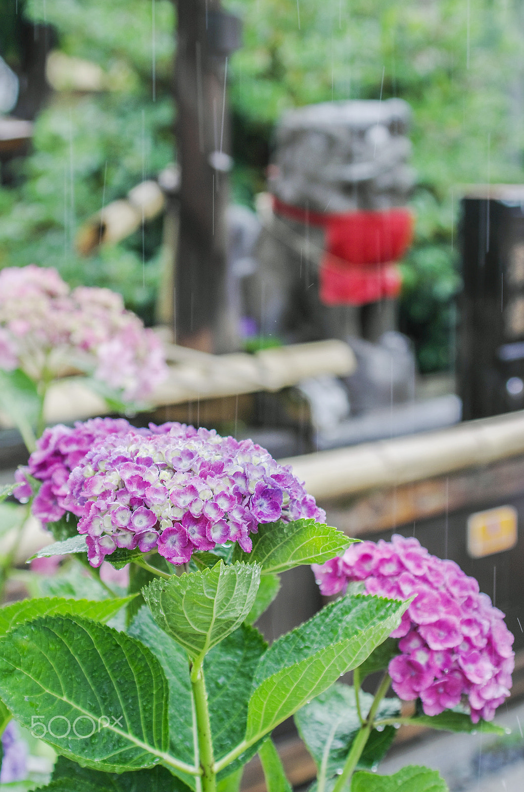 Pentax smc DA* 60-250mm F4.0 ED (IF) SDM sample photo. Lines photography