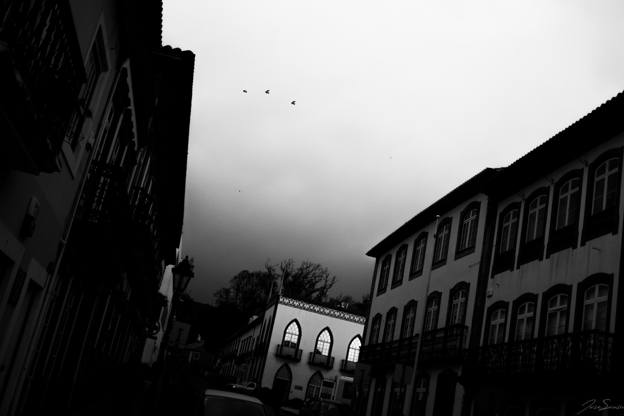 Sigma 24mm f/1.8 DG Macro EX sample photo. Birds visit the city photography