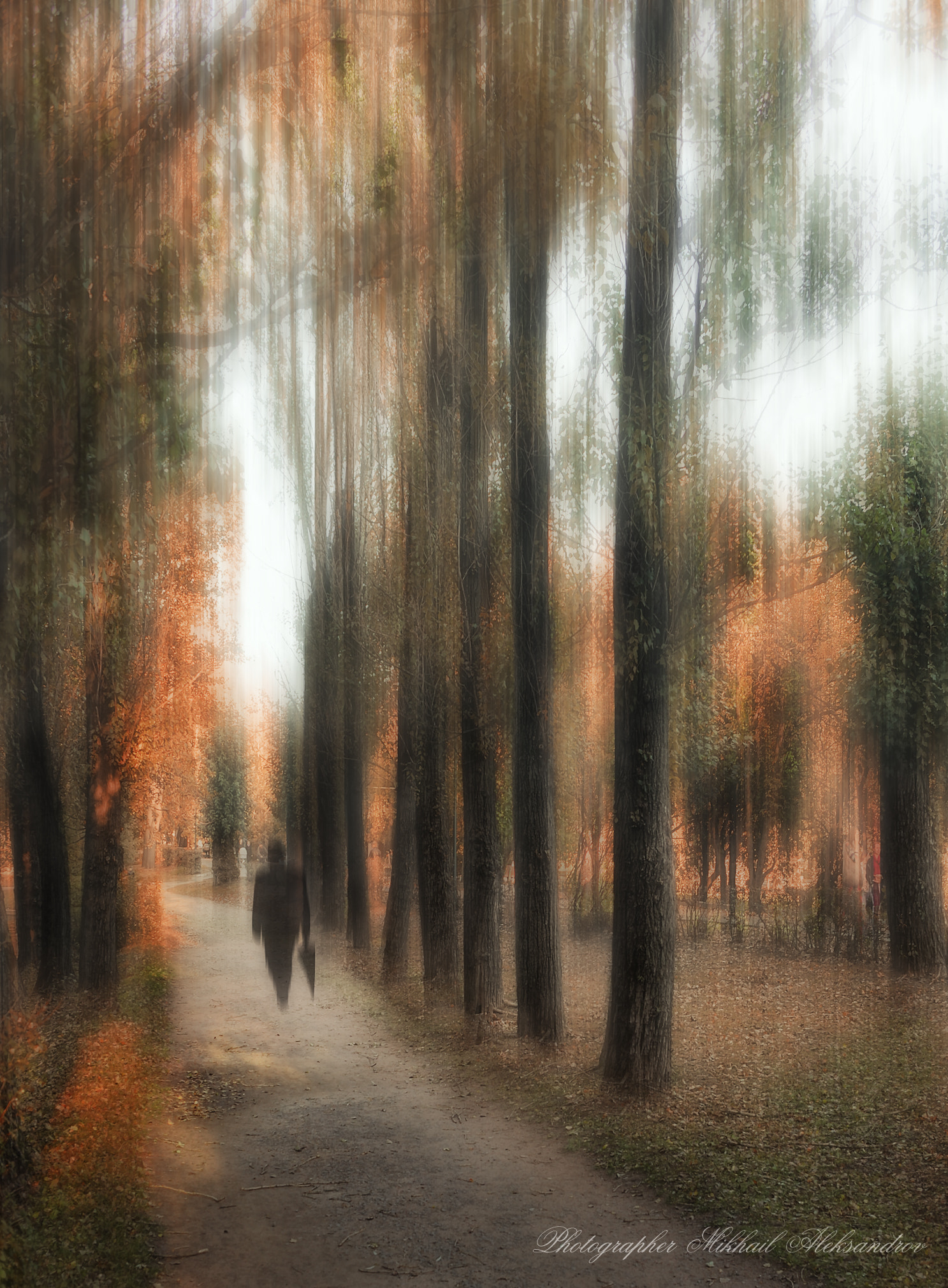 AF Zoom-Nikkor 28-85mm f/3.5-4.5 sample photo. Человек с зонтом (a man with an umbrella) photography