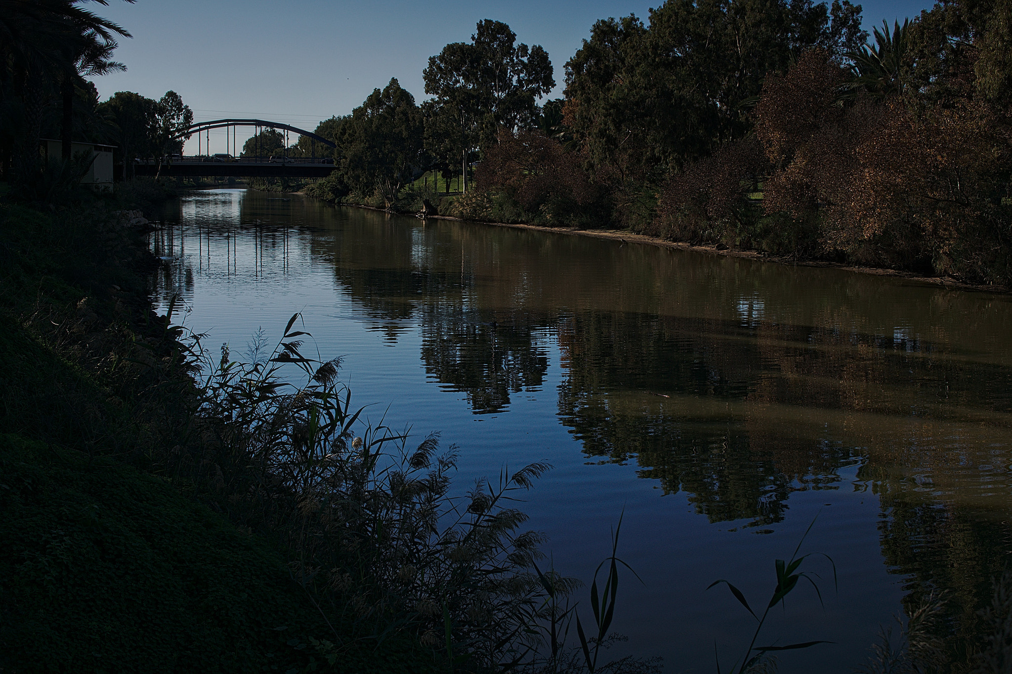 Sony Alpha NEX-5N + Sigma 30mm F2.8 EX DN sample photo. Yarkon photography