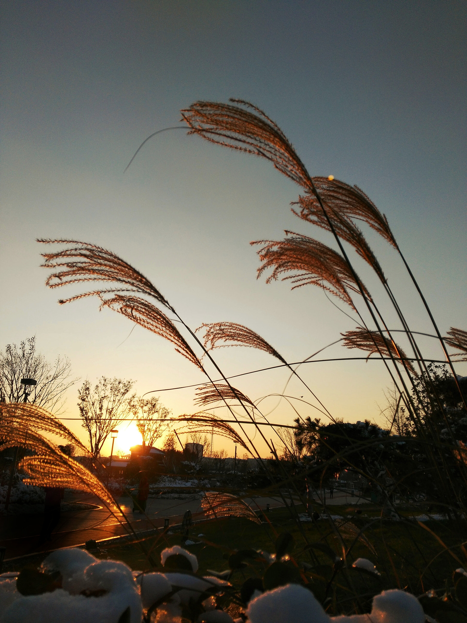 HUAWEI Honor 7i sample photo. 飞舞 photography
