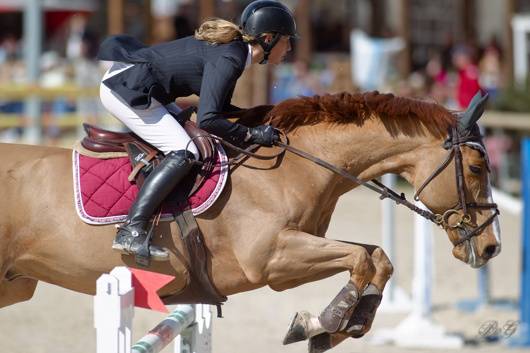 Canon EF 300mm f/2.8L sample photo. Bm0o1965-1.jpg photography