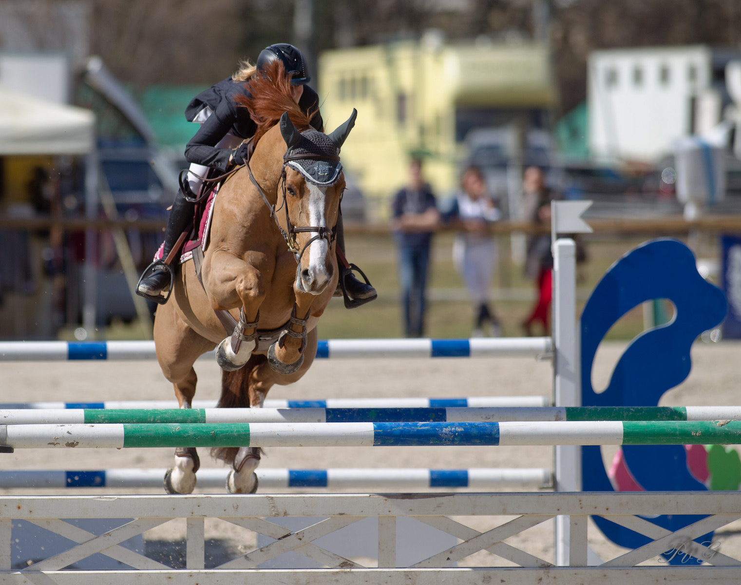 Canon EF 300mm f/2.8L sample photo. Bm0o1961-1.jpg photography