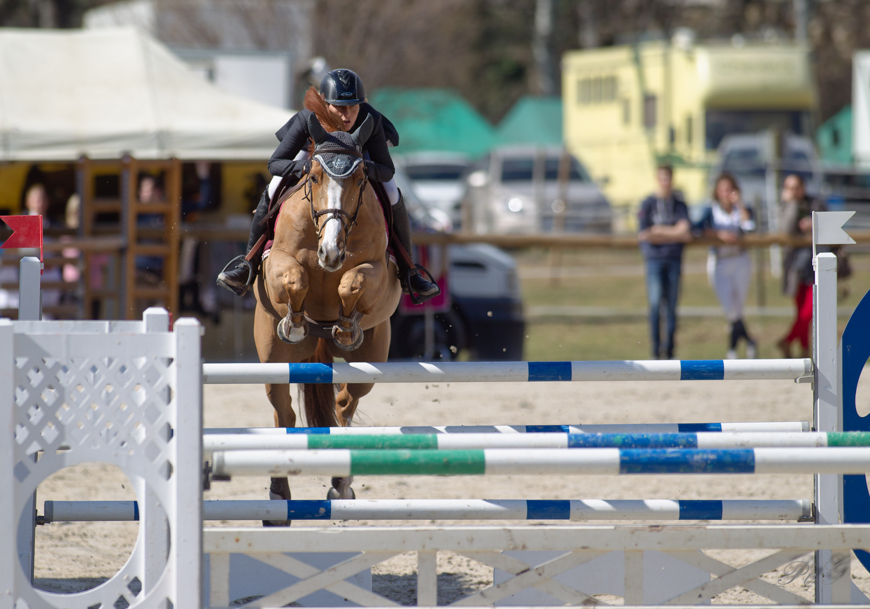 Canon EF 300mm f/2.8L sample photo. Bm0o1958-1.jpg photography