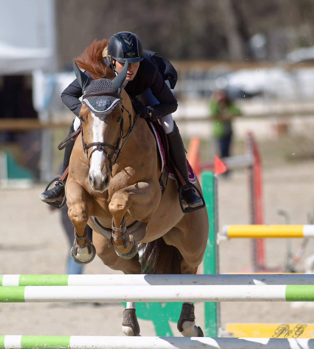 Canon EF 300mm f/2.8L sample photo. Bm0o1979-1.jpg photography