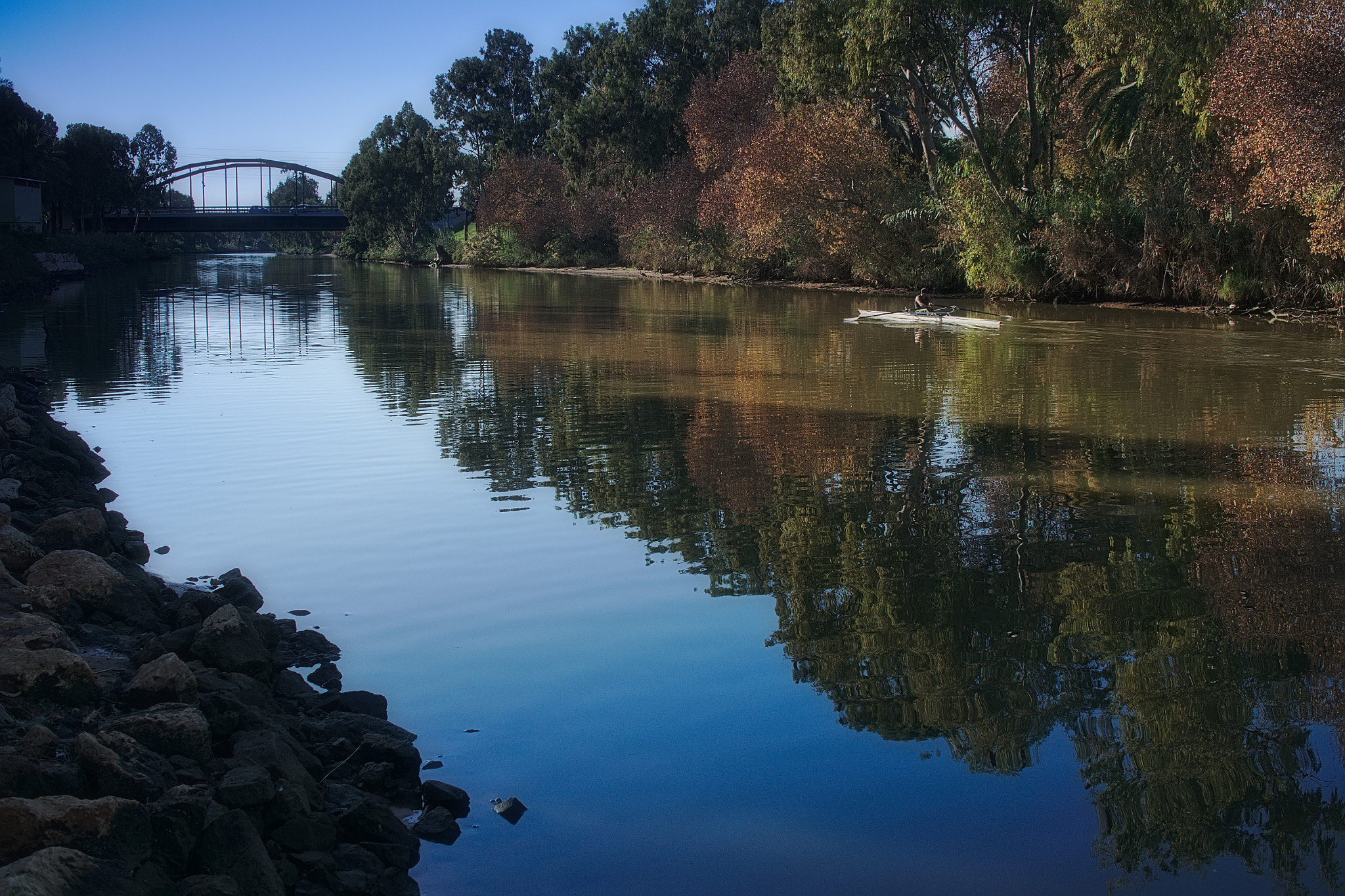 Sony Alpha NEX-5N + Sigma 30mm F2.8 EX DN sample photo. The  lonely rower photography