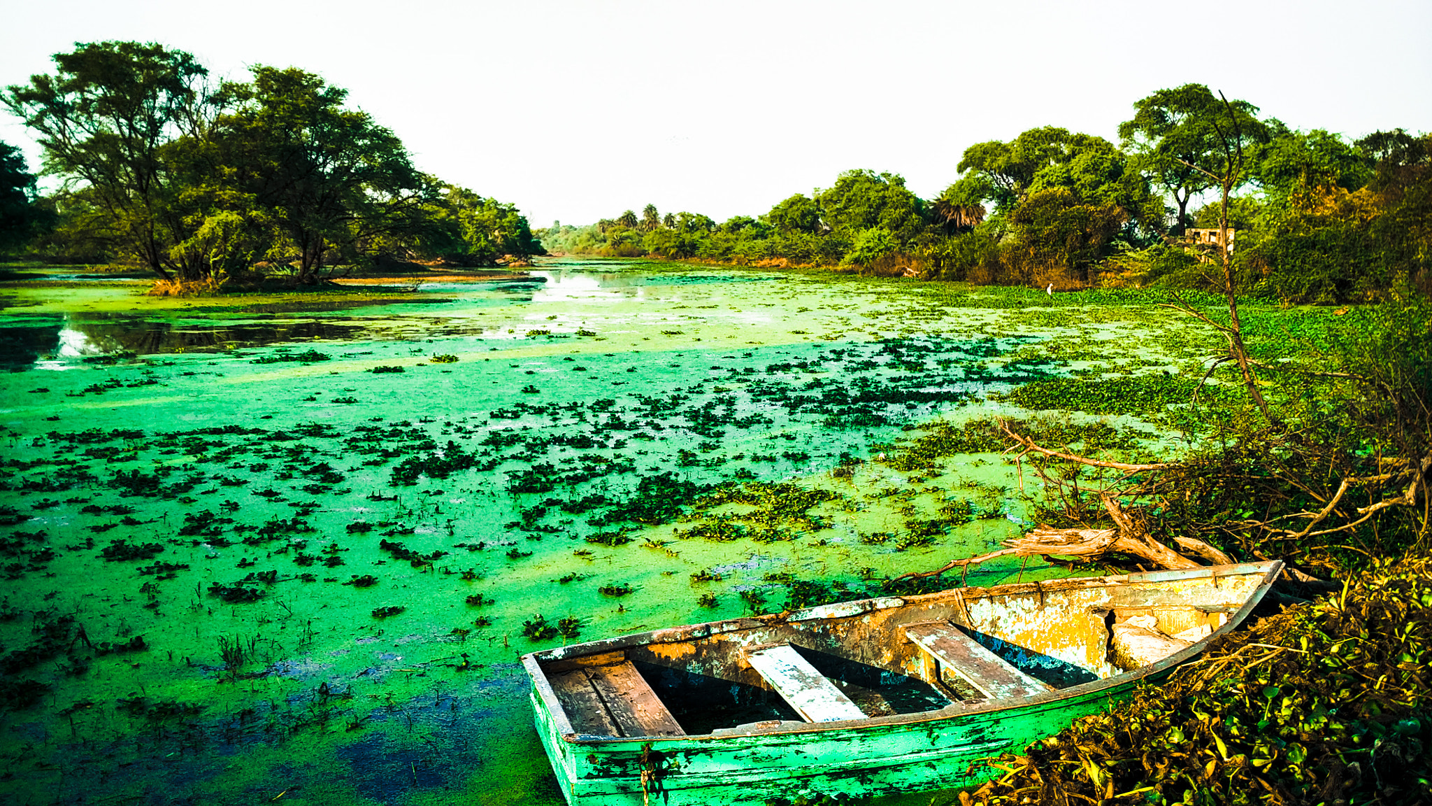 Xiaomi Mi 4i sample photo. Dead boat on silent river photography