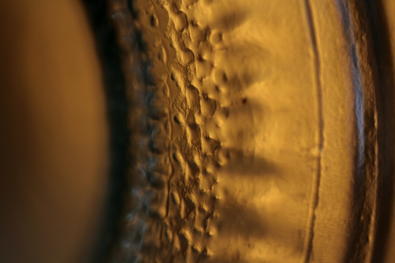 Tamron SP AF 90mm F2.8 Di Macro sample photo. Empty bottle 2 photography