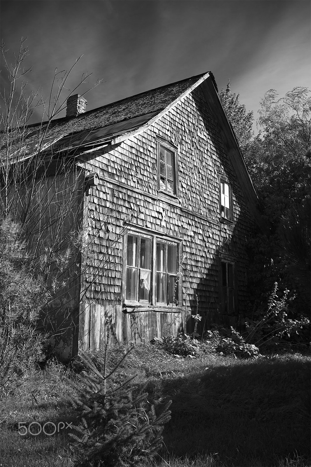 Canon EF 28-80mm f/3.5-5.6 sample photo. Abandon photography