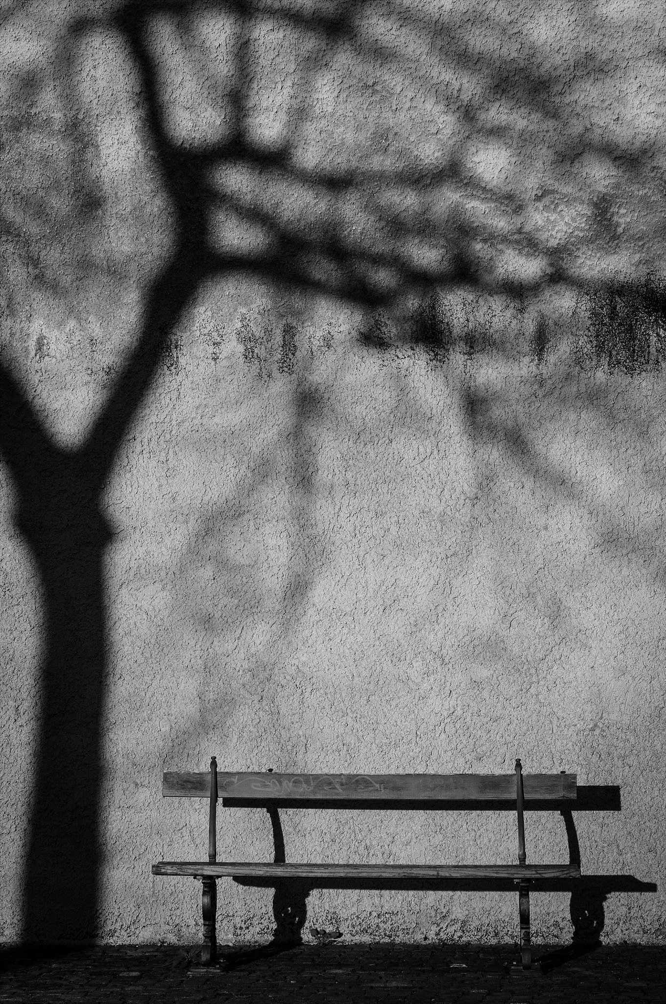 Nikon D300S + Sigma 24-70mm F2.8 EX DG Macro sample photo. Shadows photography