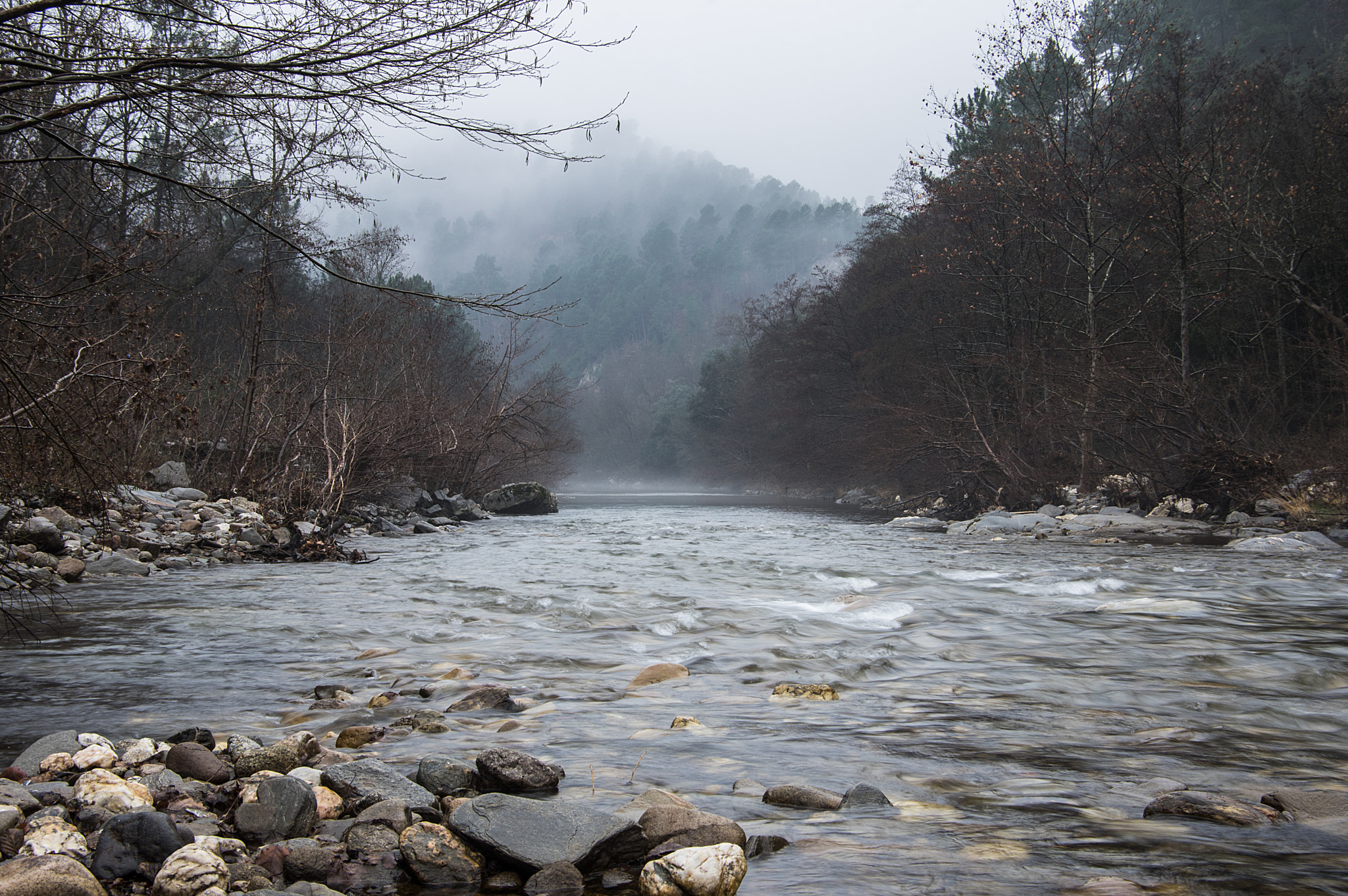 Pentax smc DA 16-45mm F4 ED AL sample photo. Pluie et brouillard. photography