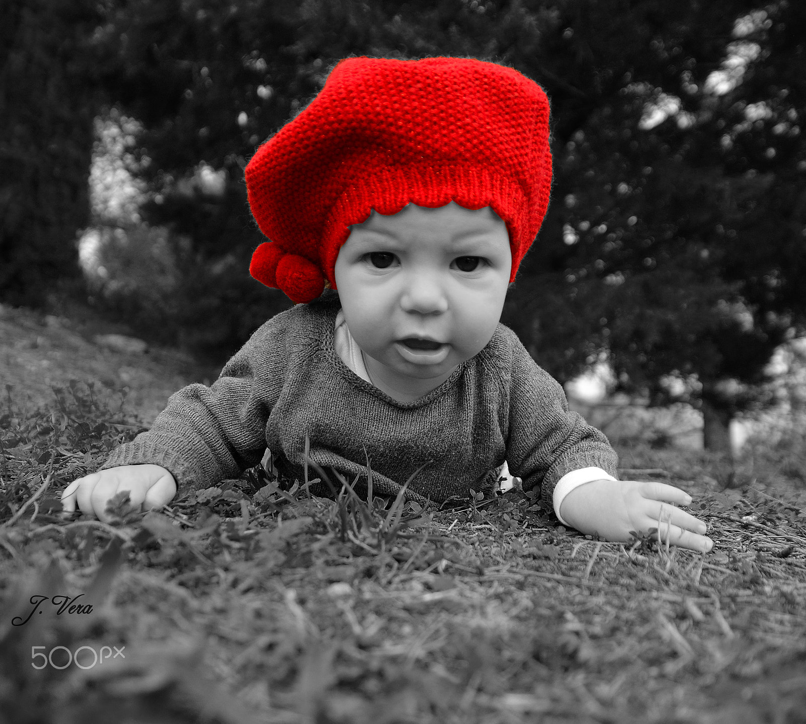 Sigma 17-70mm F2.8-4 DC Macro OS HSM | C sample photo. Baby photography