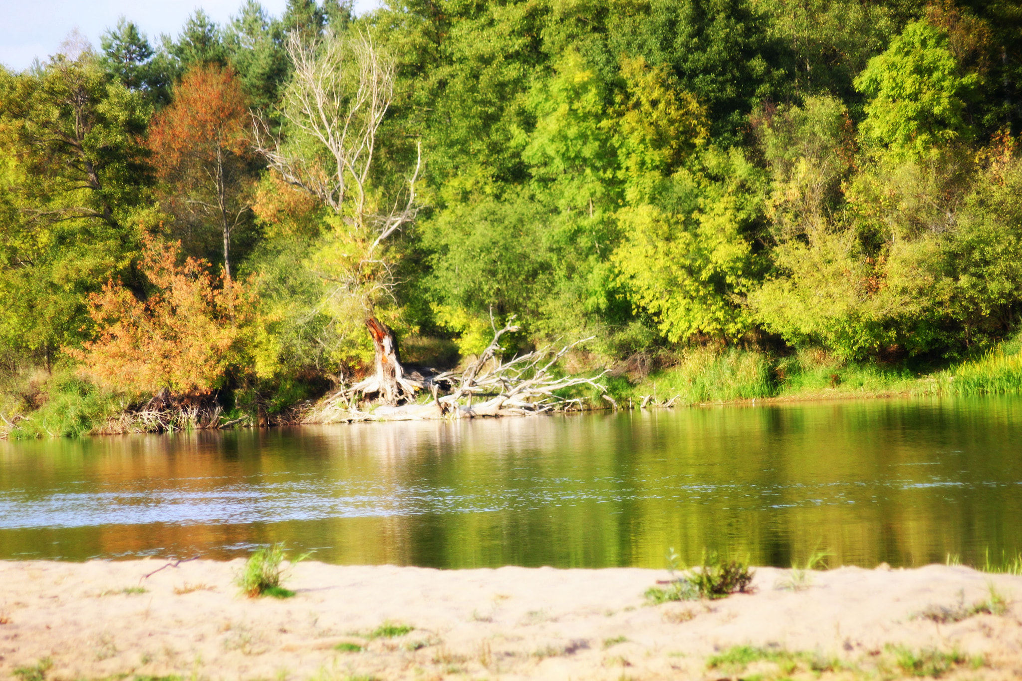 Sigma 55-200mm f/4-5.6 DC sample photo. Village autumn photography