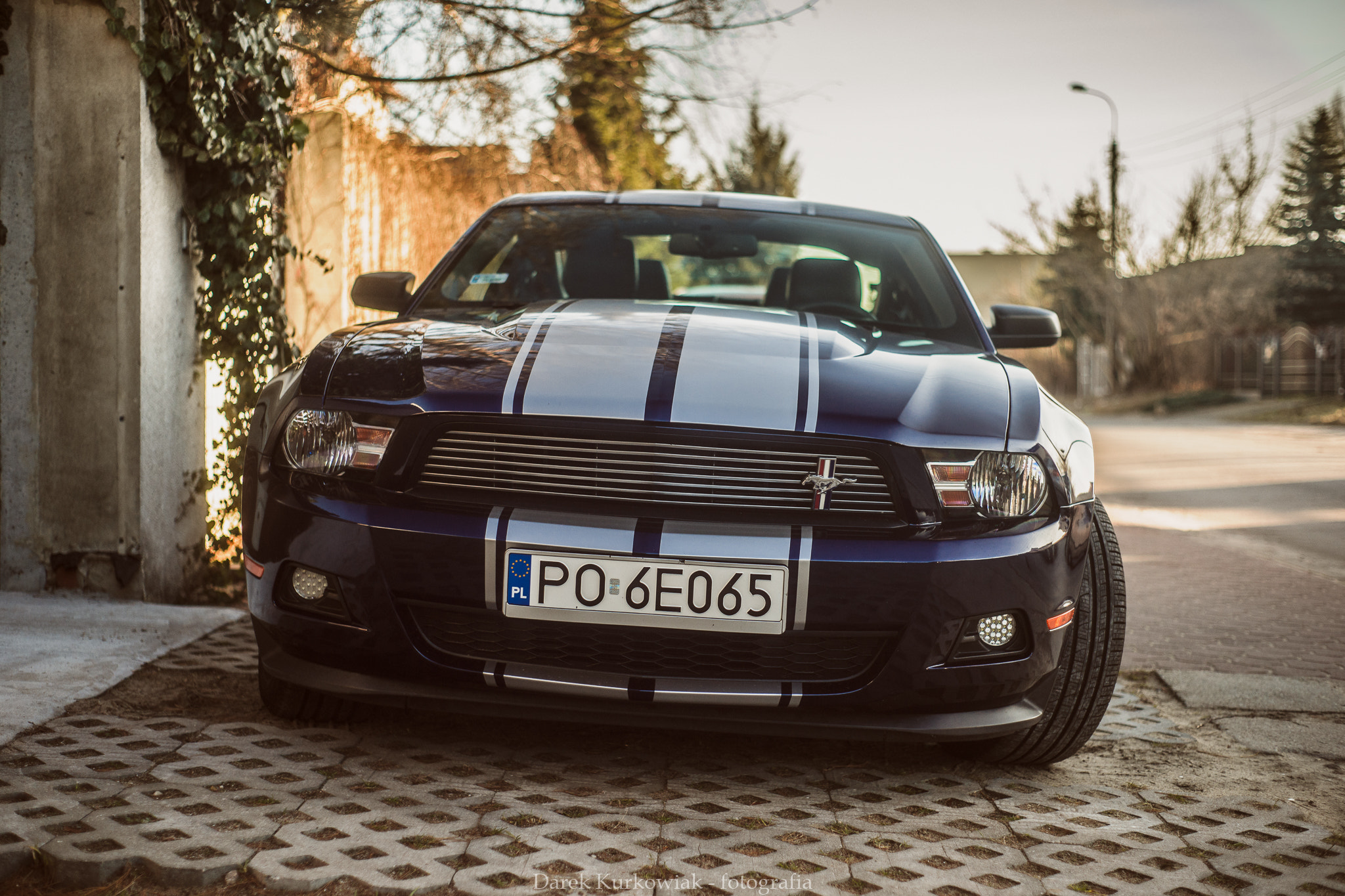 Sony Alpha DSLR-A850 + Minolta AF 50mm F1.7 sample photo. Ford mustang photography