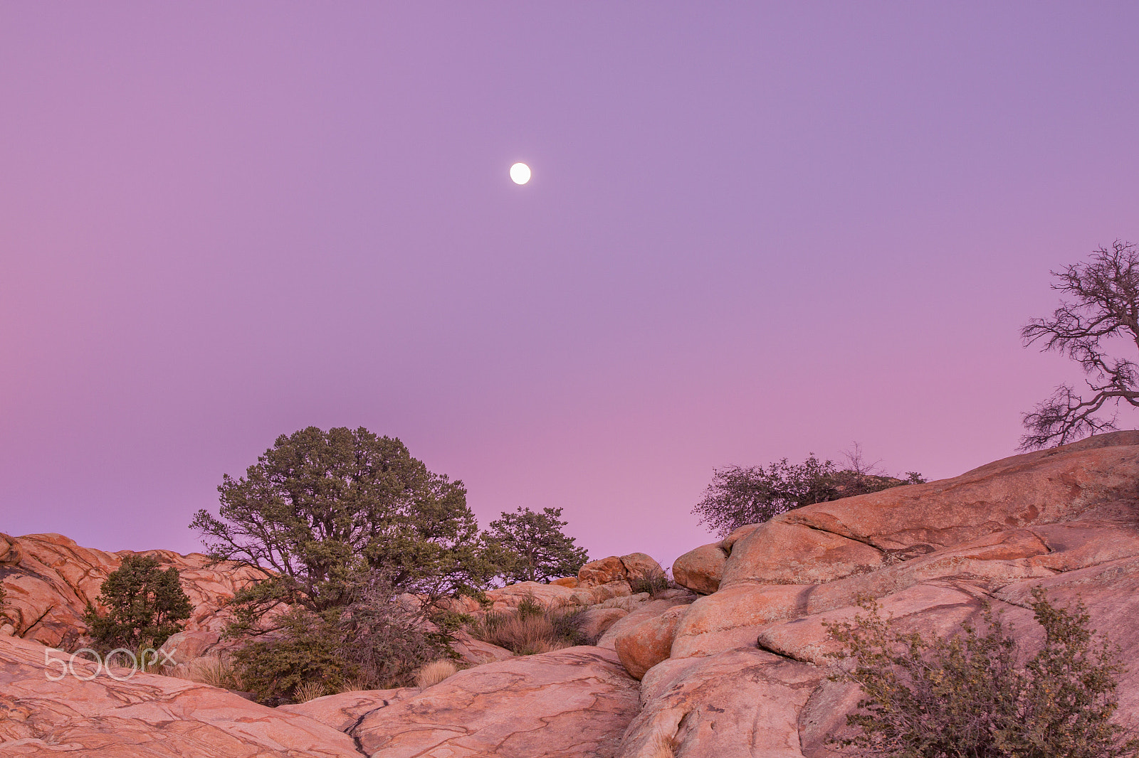 Canon EOS 50D + EF28-70mm f/2.8L USM sample photo. High desert arizona sunset moonrise photography