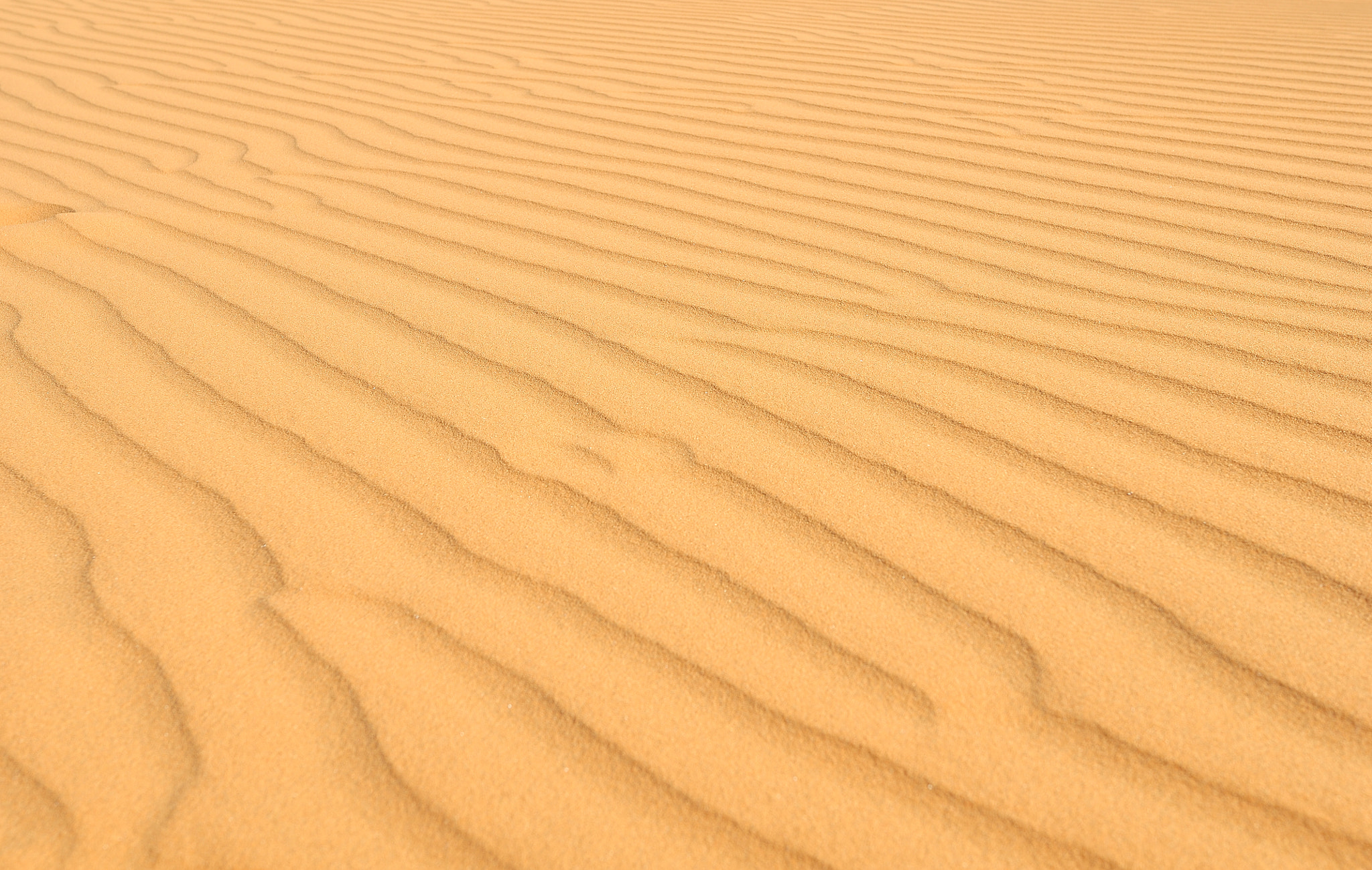 Nikon D90 + Sigma 18-35mm F1.8 DC HSM Art sample photo. Mui ne golden dunes photography