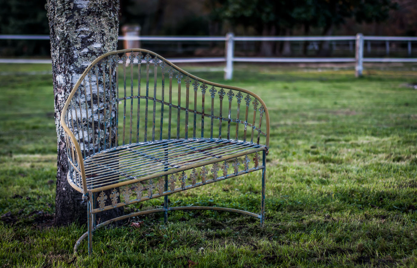 Nikon D300 + AF Nikkor 50mm f/1.8 sample photo. __sonate d'automne__ photography