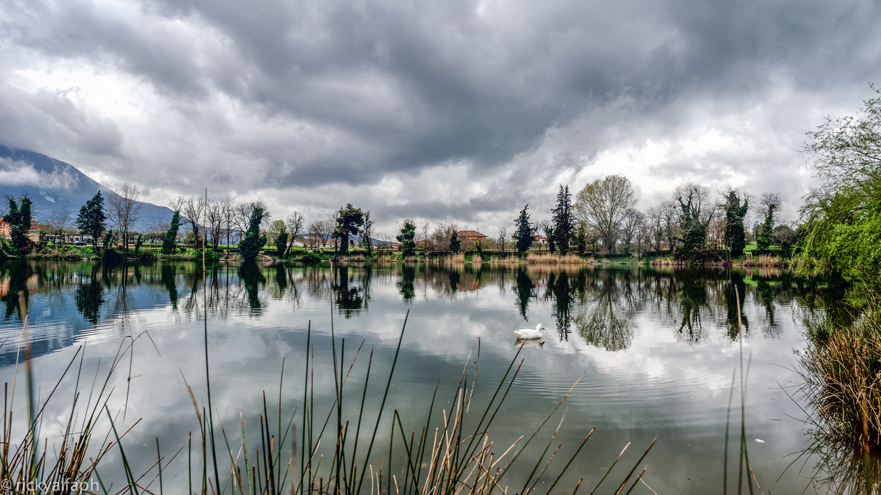 Sigma 14mm F2.8 EX Aspherical HSM sample photo. Lago telese 002 photography