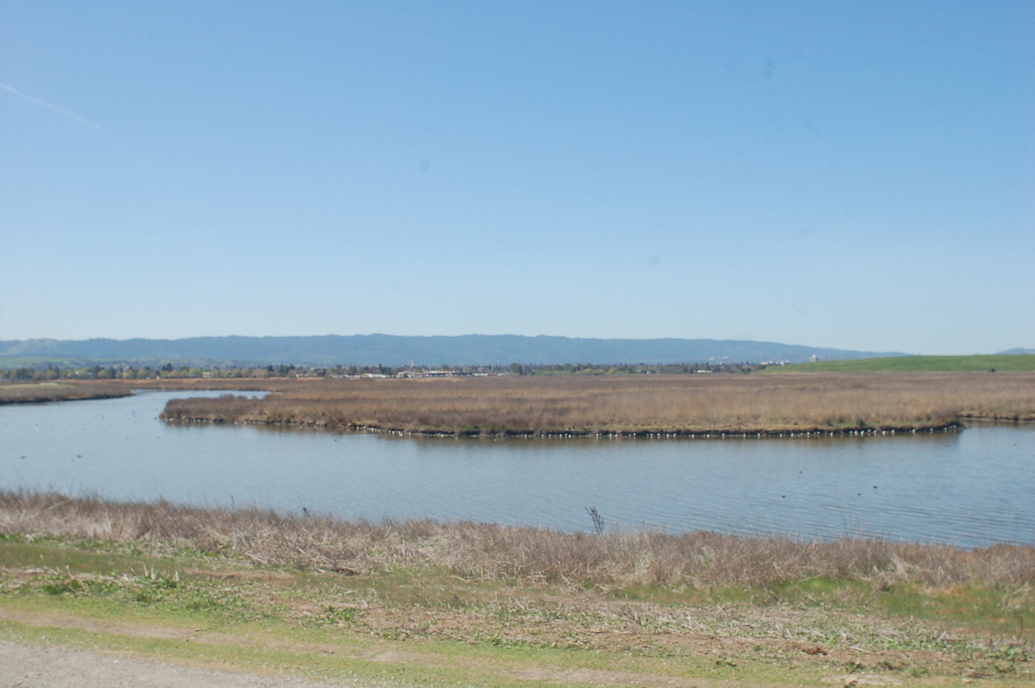 AF Nikkor 24mm f/2.8 sample photo. California photography