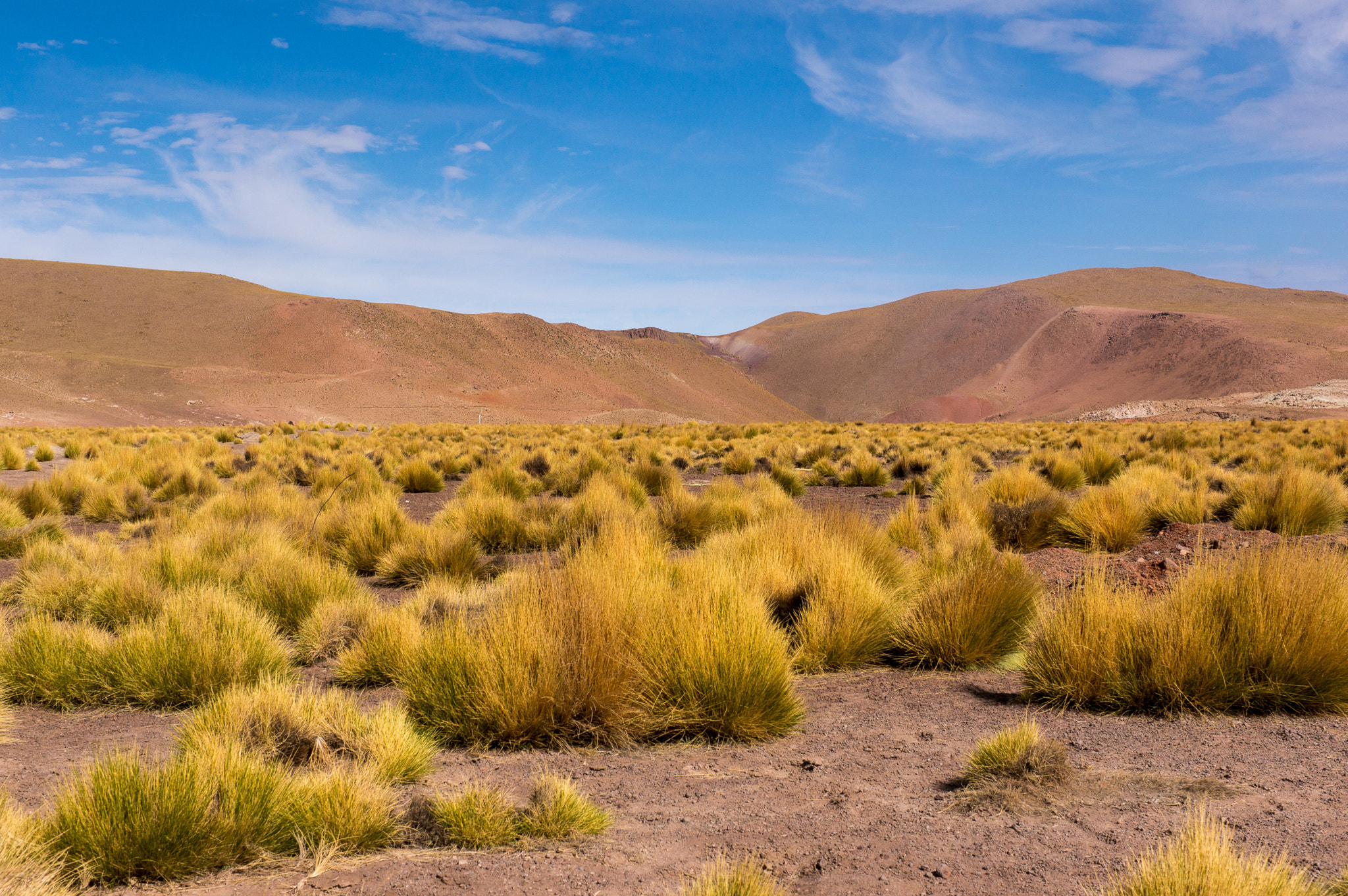 Sony Alpha NEX-6 + E 32mm F1.8 sample photo. San pedro de atacama, chile photography